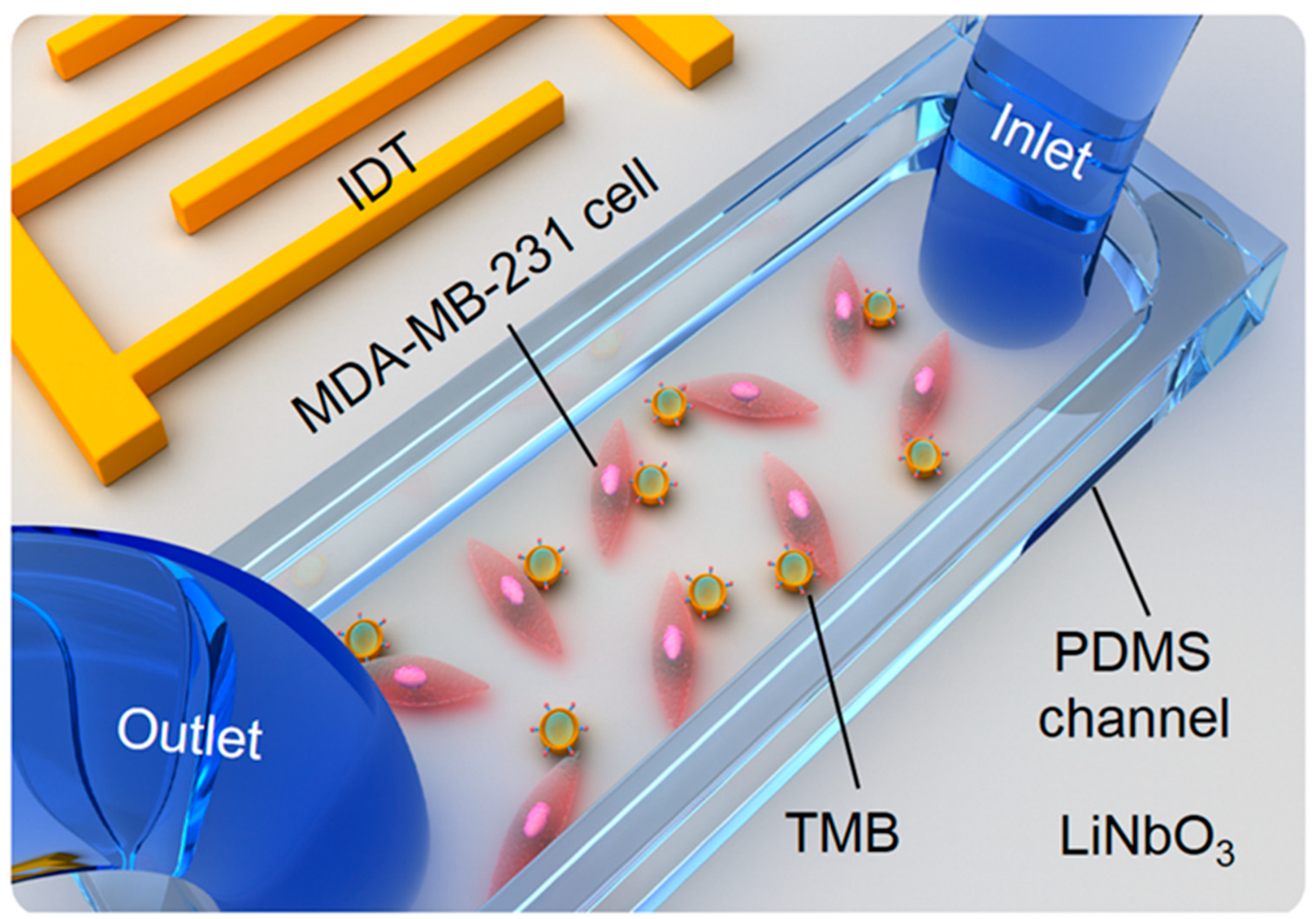 Micromachines 13 00113 g001