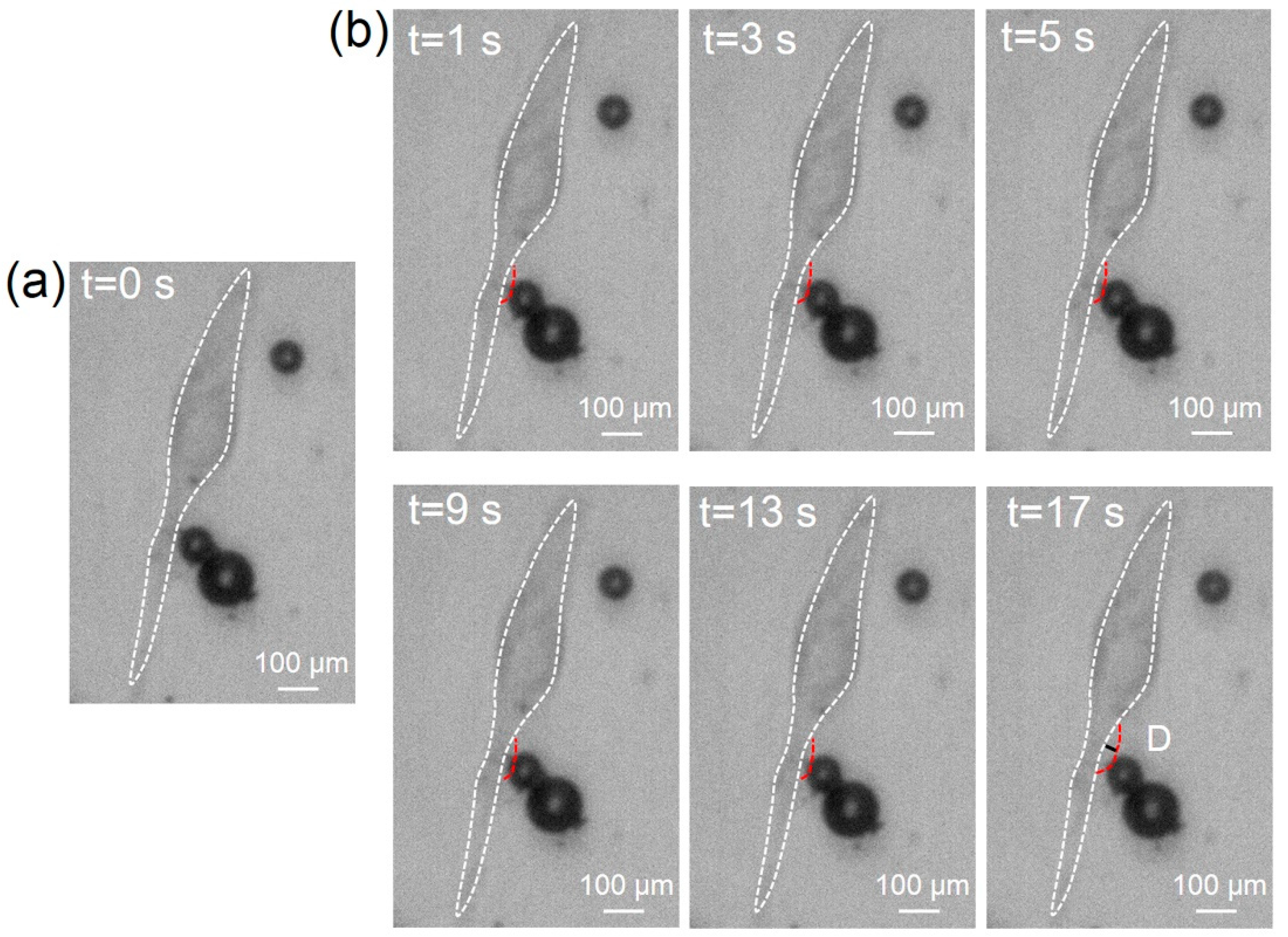 Micromachines 13 00113 g006