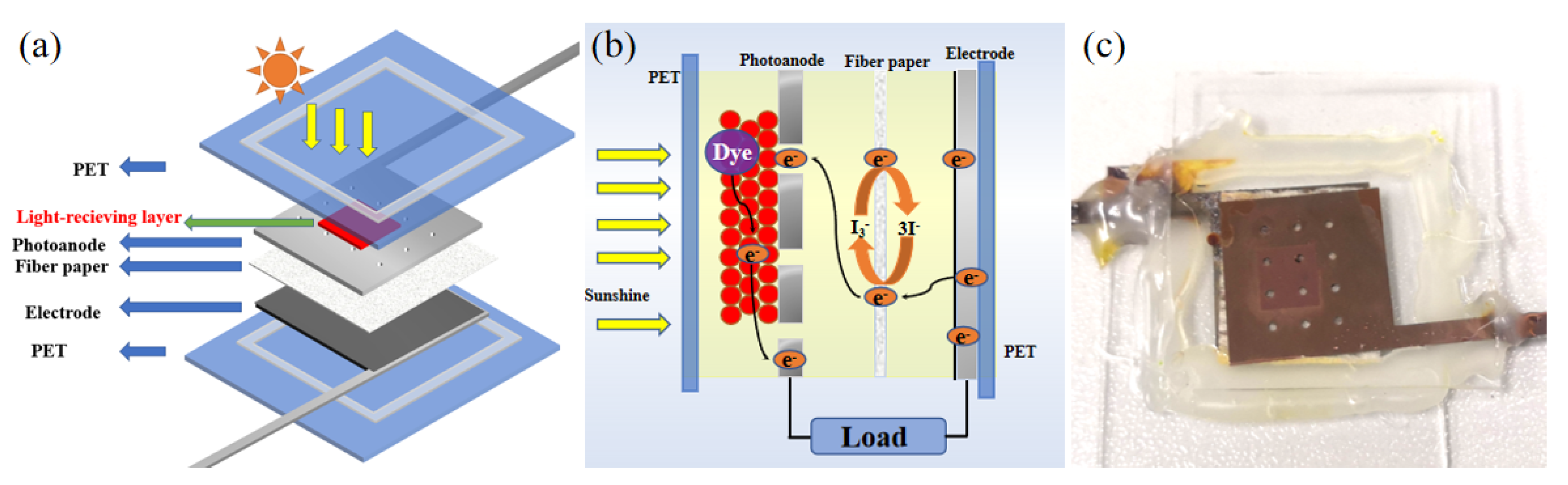 Micromachines 13 00122 g001