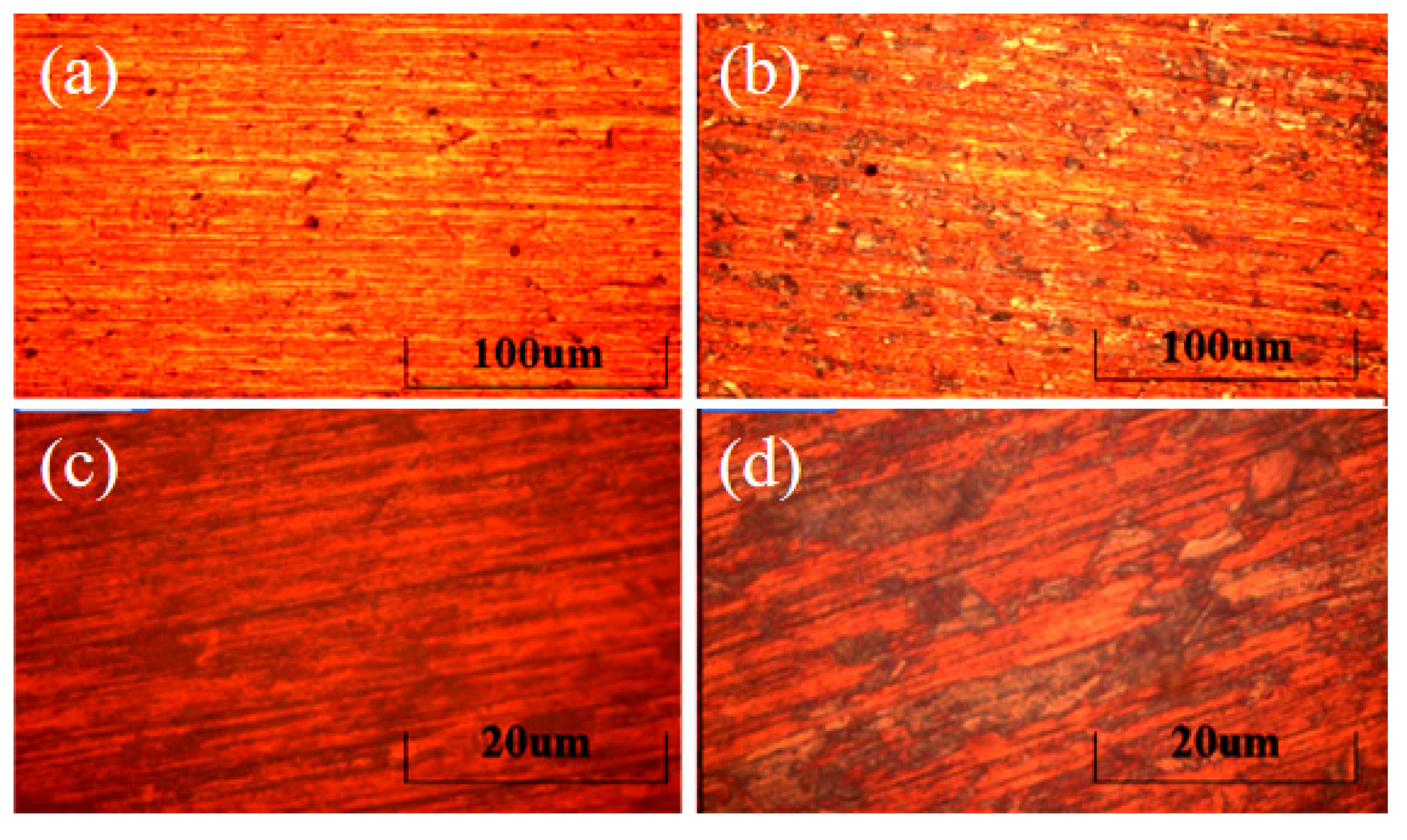 Micromachines 13 00122 g004