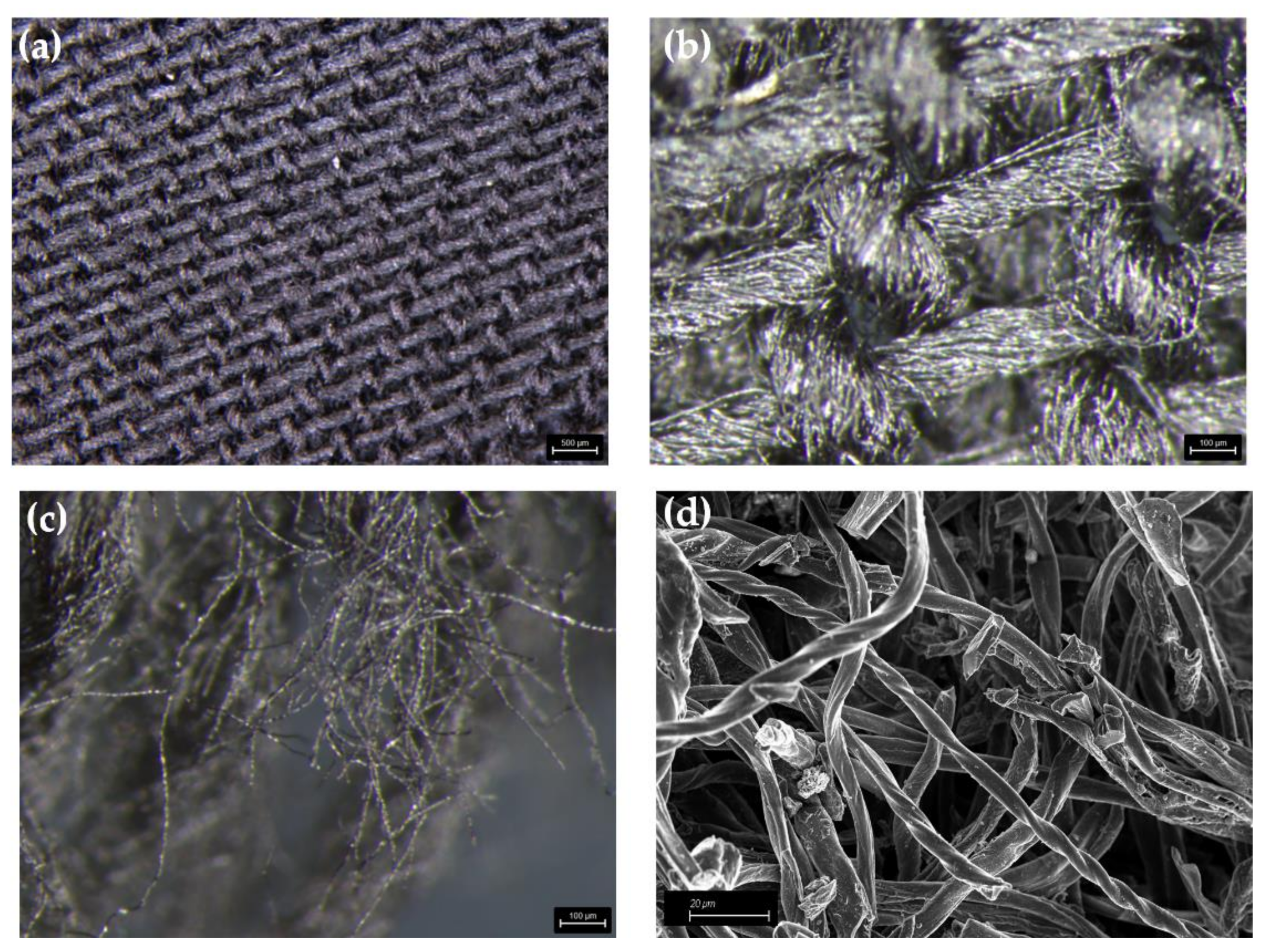 Micromachines 13 00125 g001