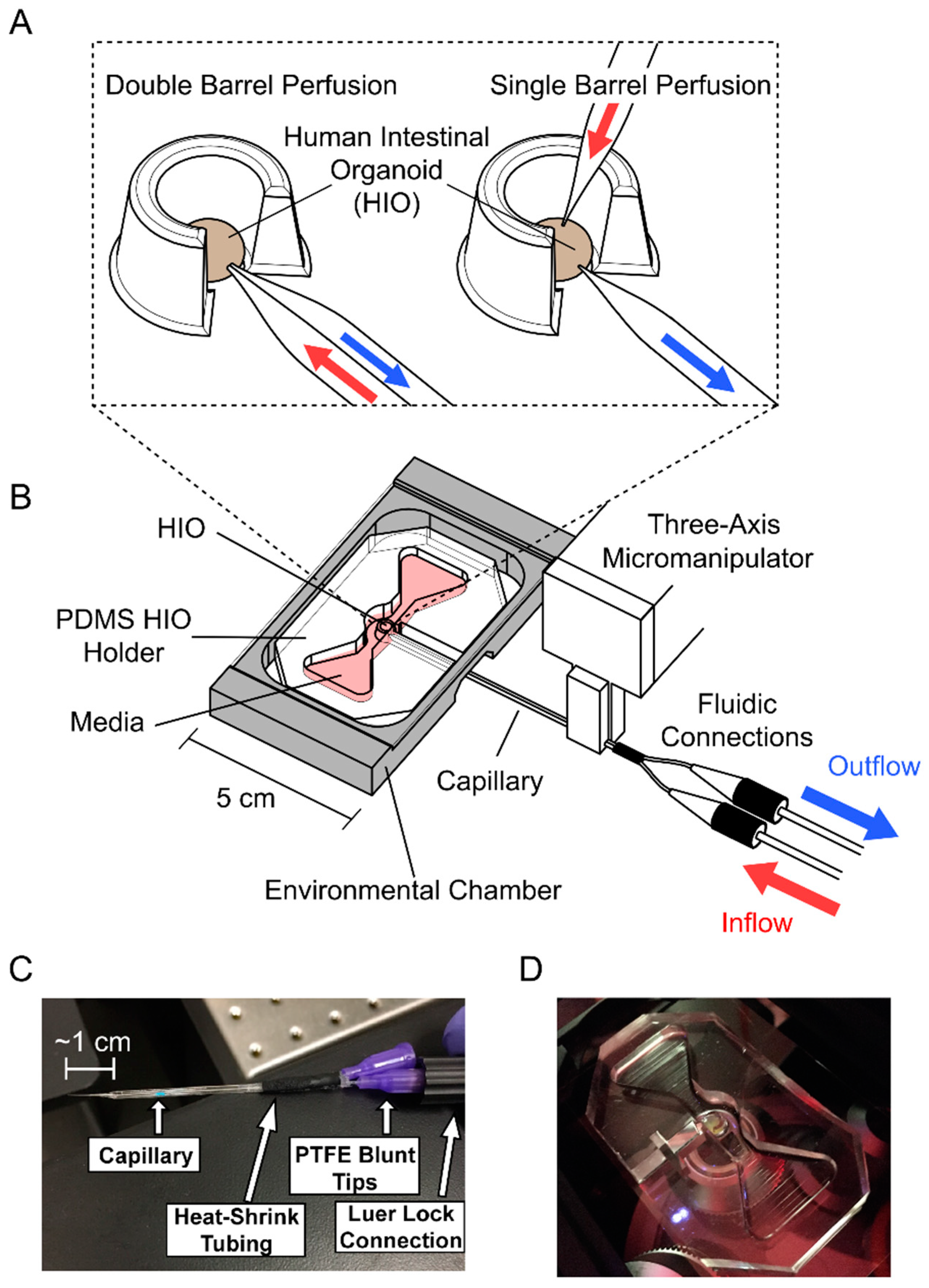 Micromachines 13 00131 g001