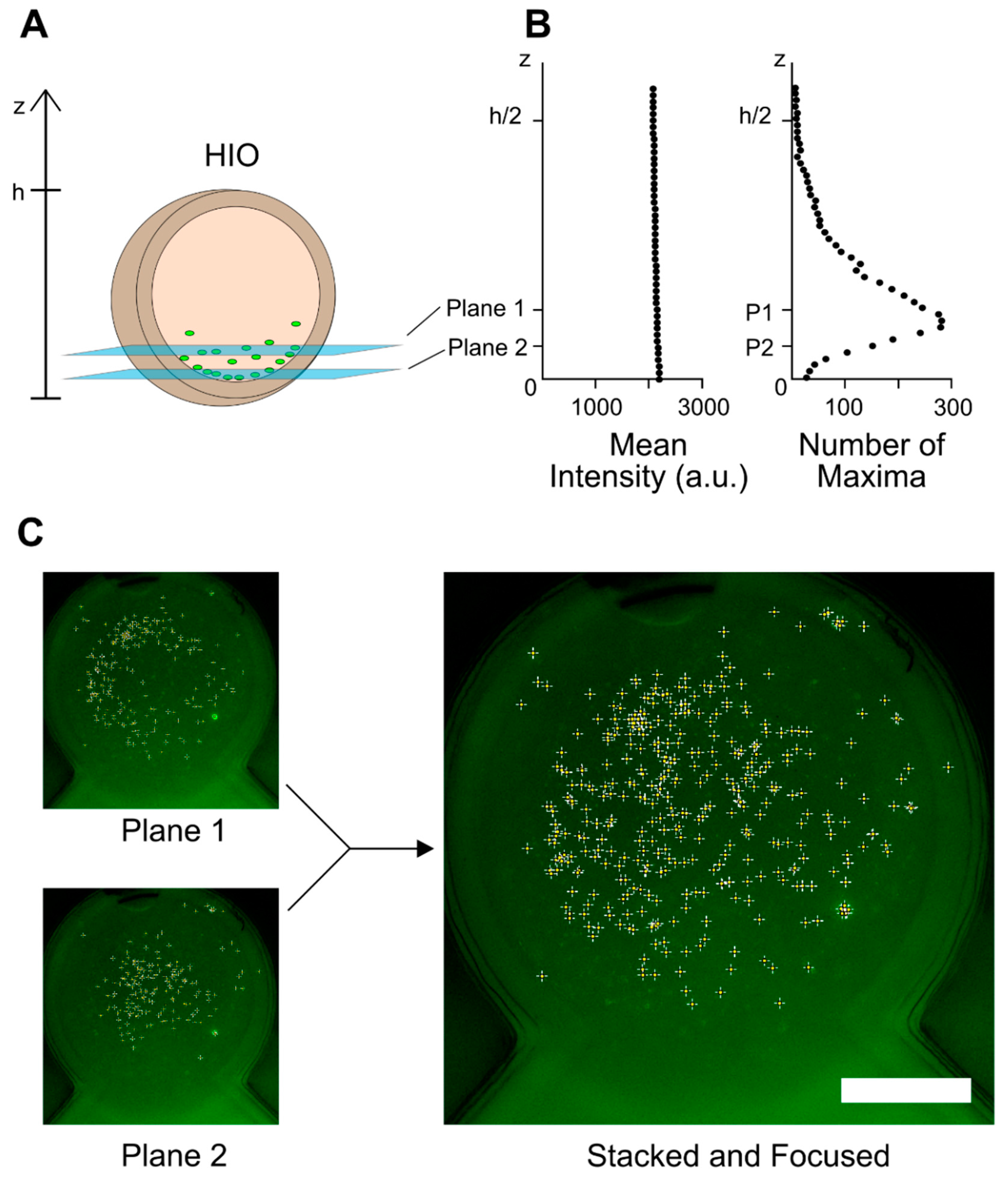 Micromachines 13 00131 g003