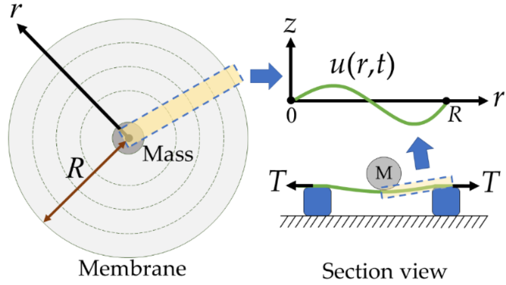Micromachines 13 00133 g001 550