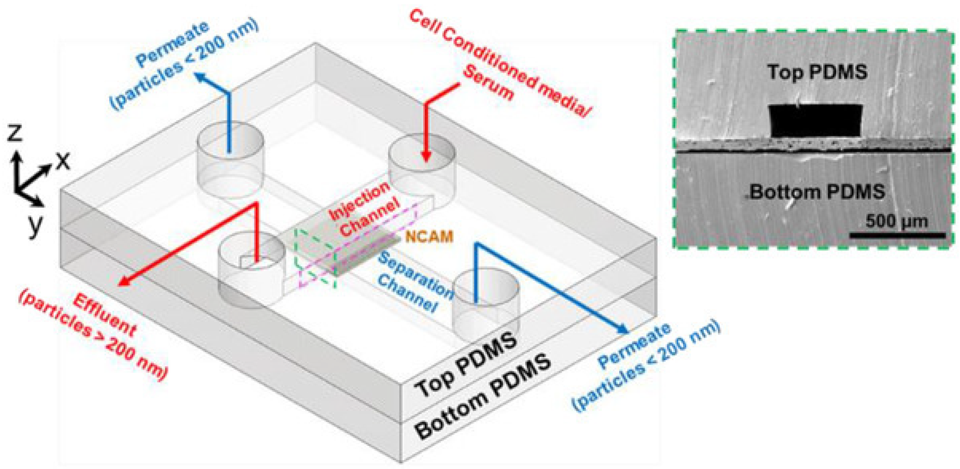 Micromachines 13 00139 g005 Micromachines 13 00139 g005