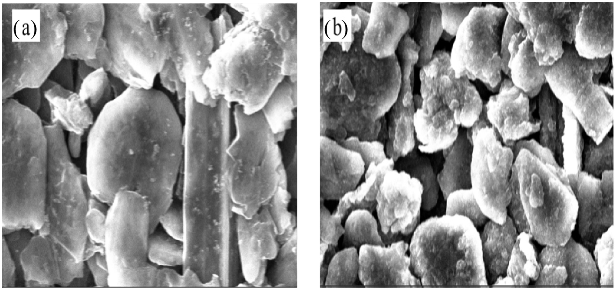 Micromachines 13 00142 g008 550