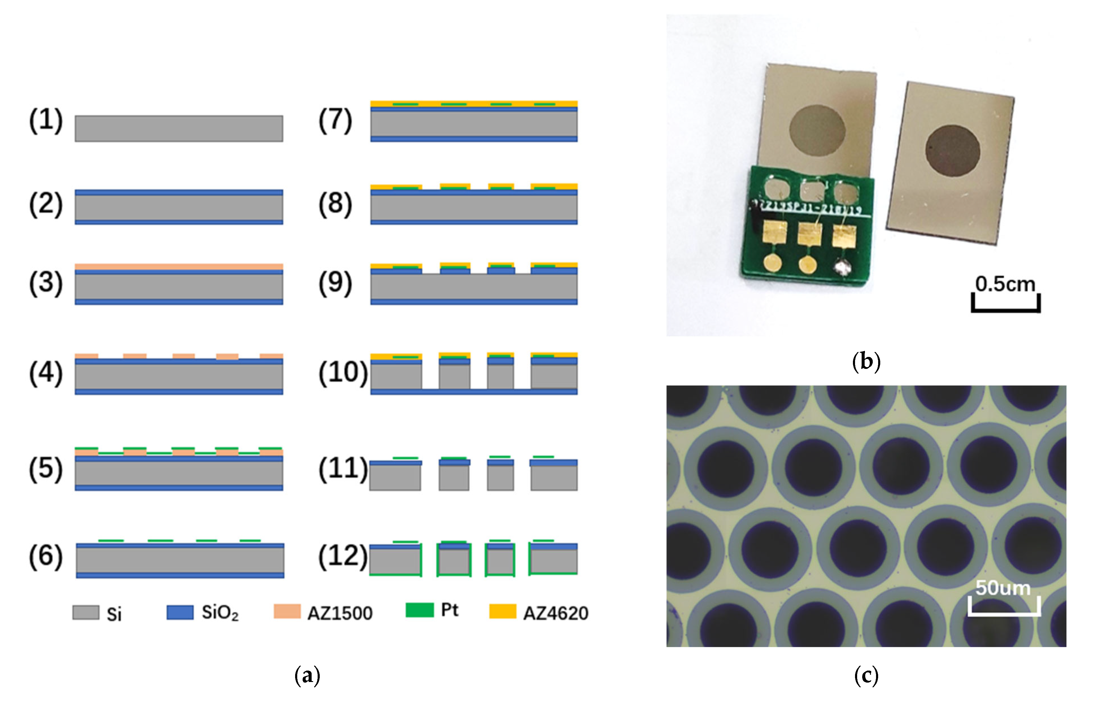 Micromachines 13 00143 g004 550