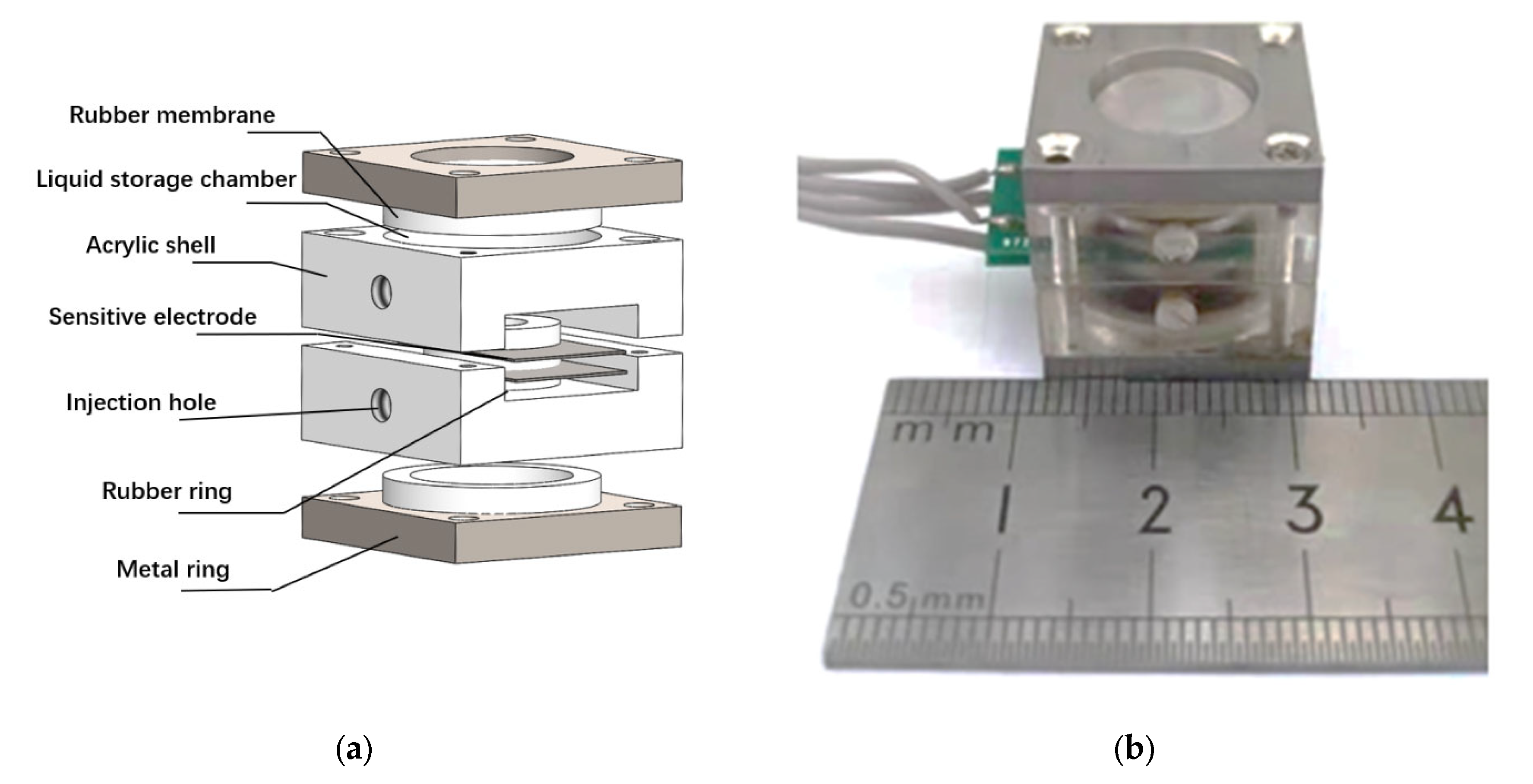 Micromachines 13 00143 g005 550