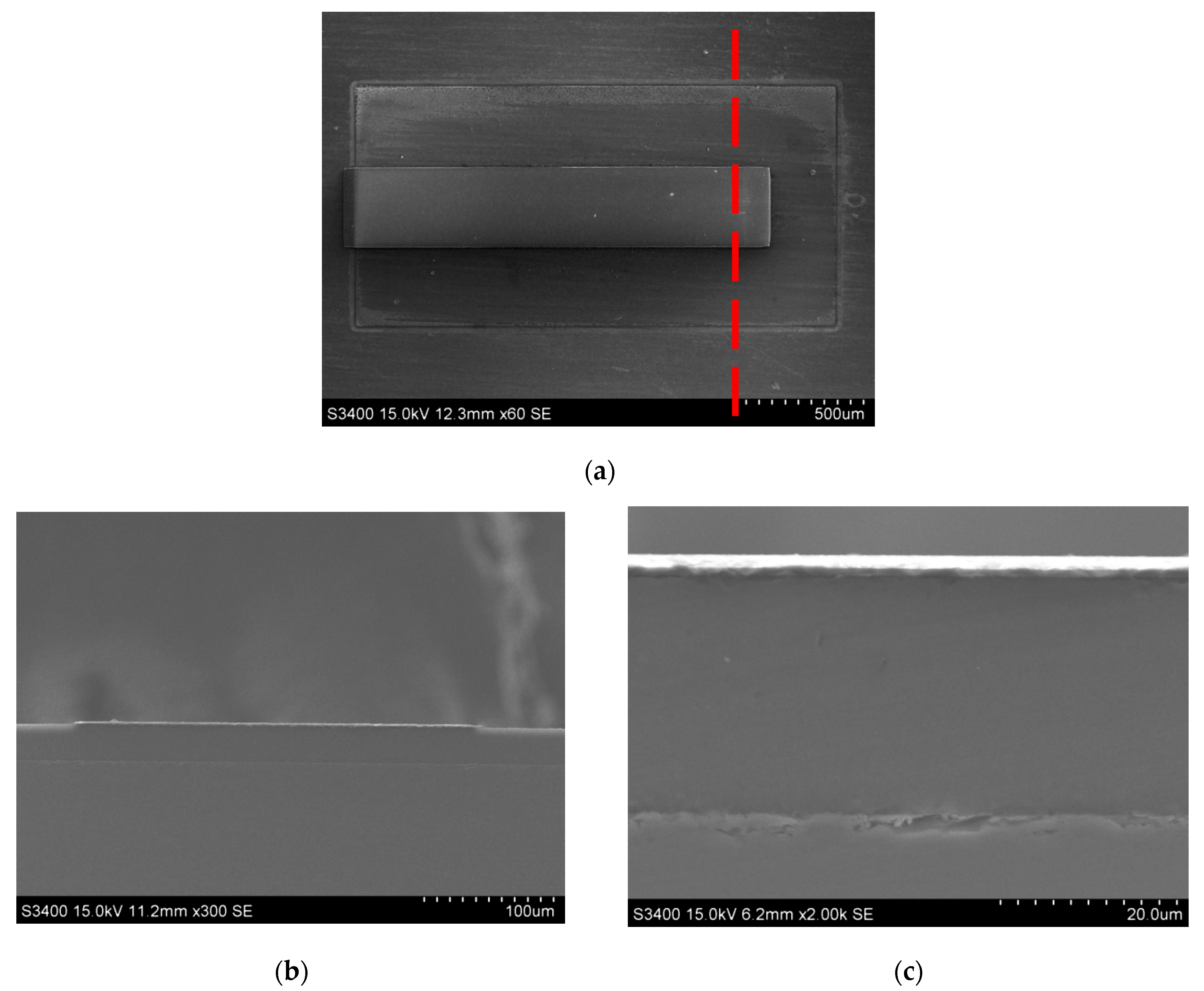 Micromachines 13 00144 g005 550