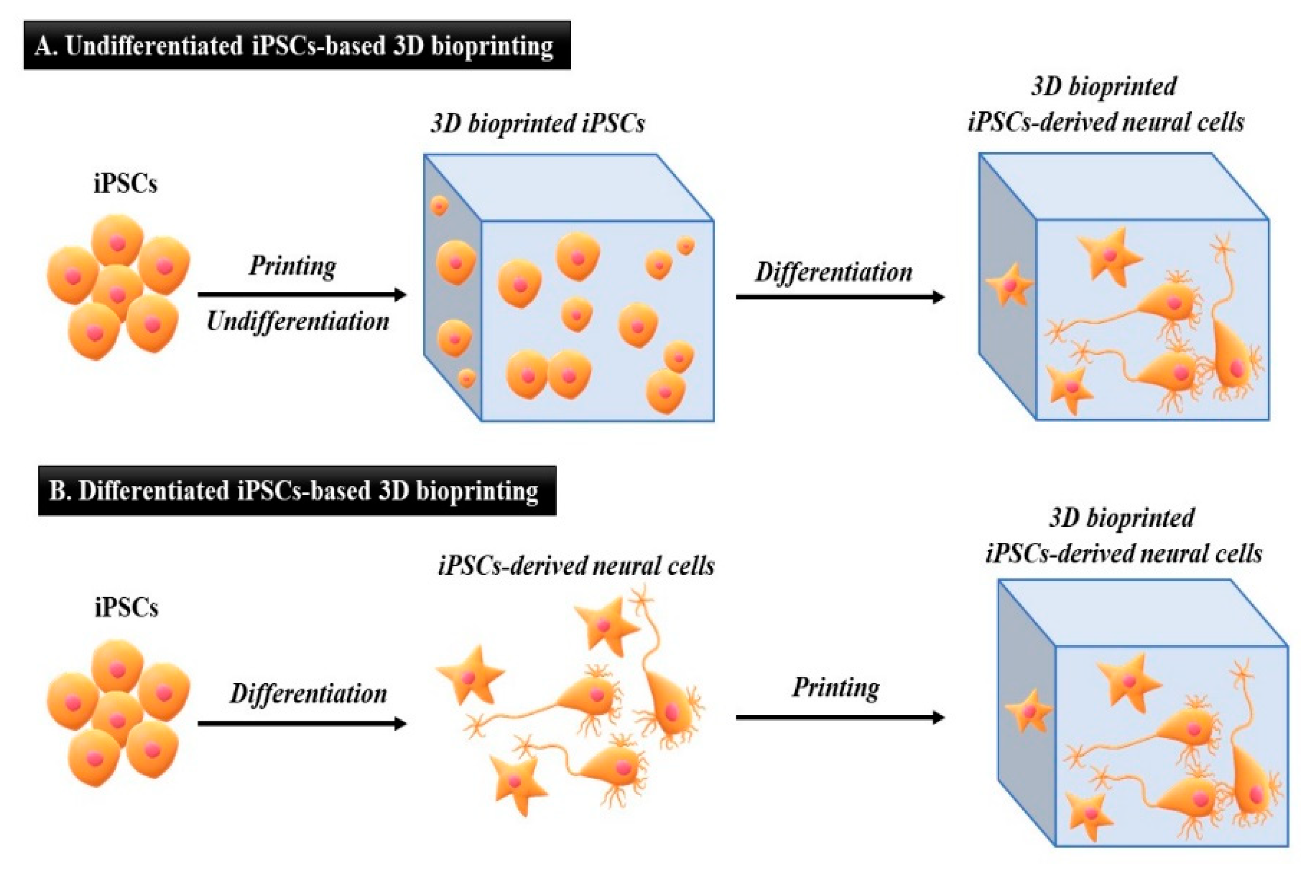 Micromachines 13 00155 g004