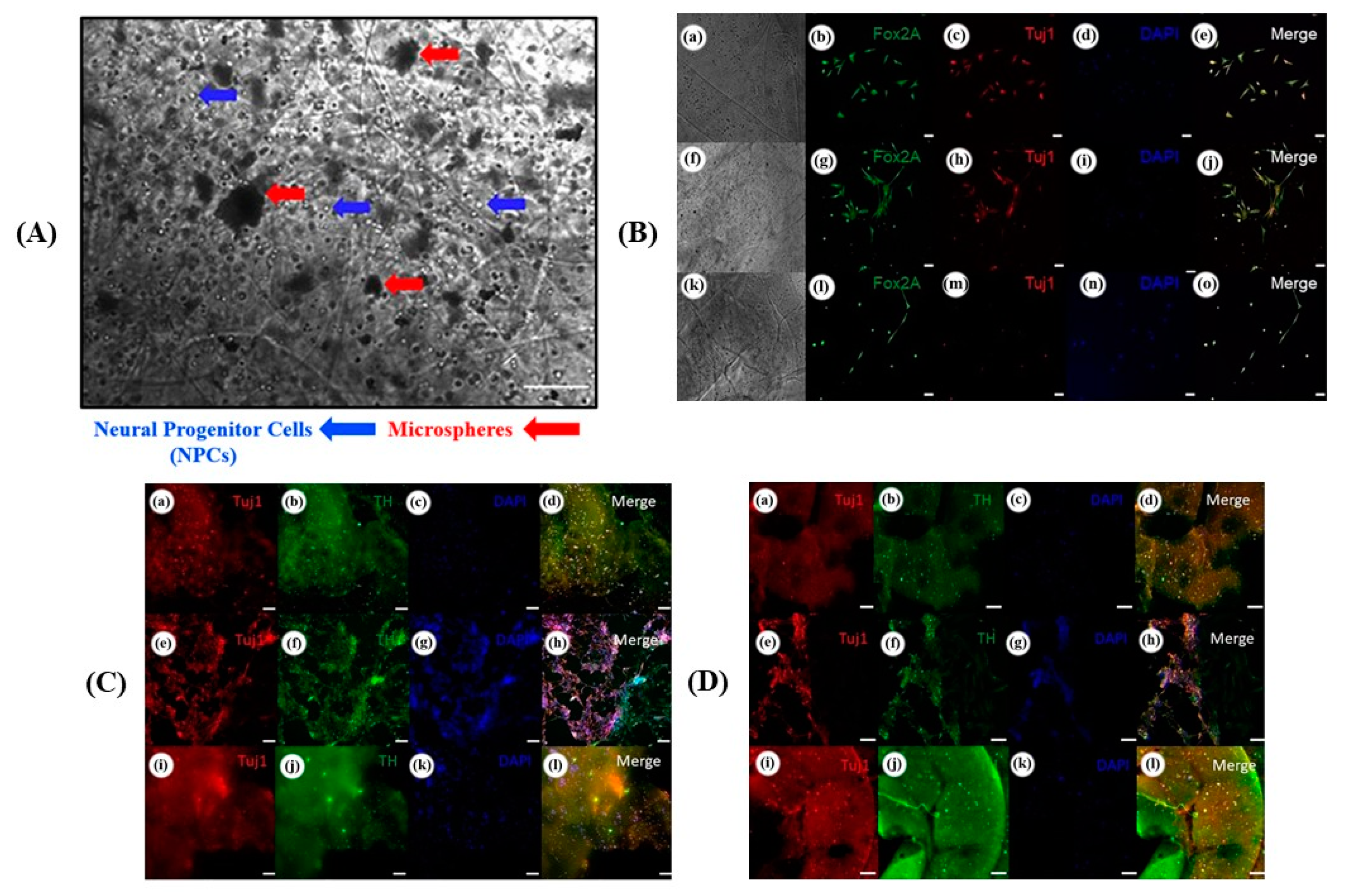 Micromachines 13 00155 g008