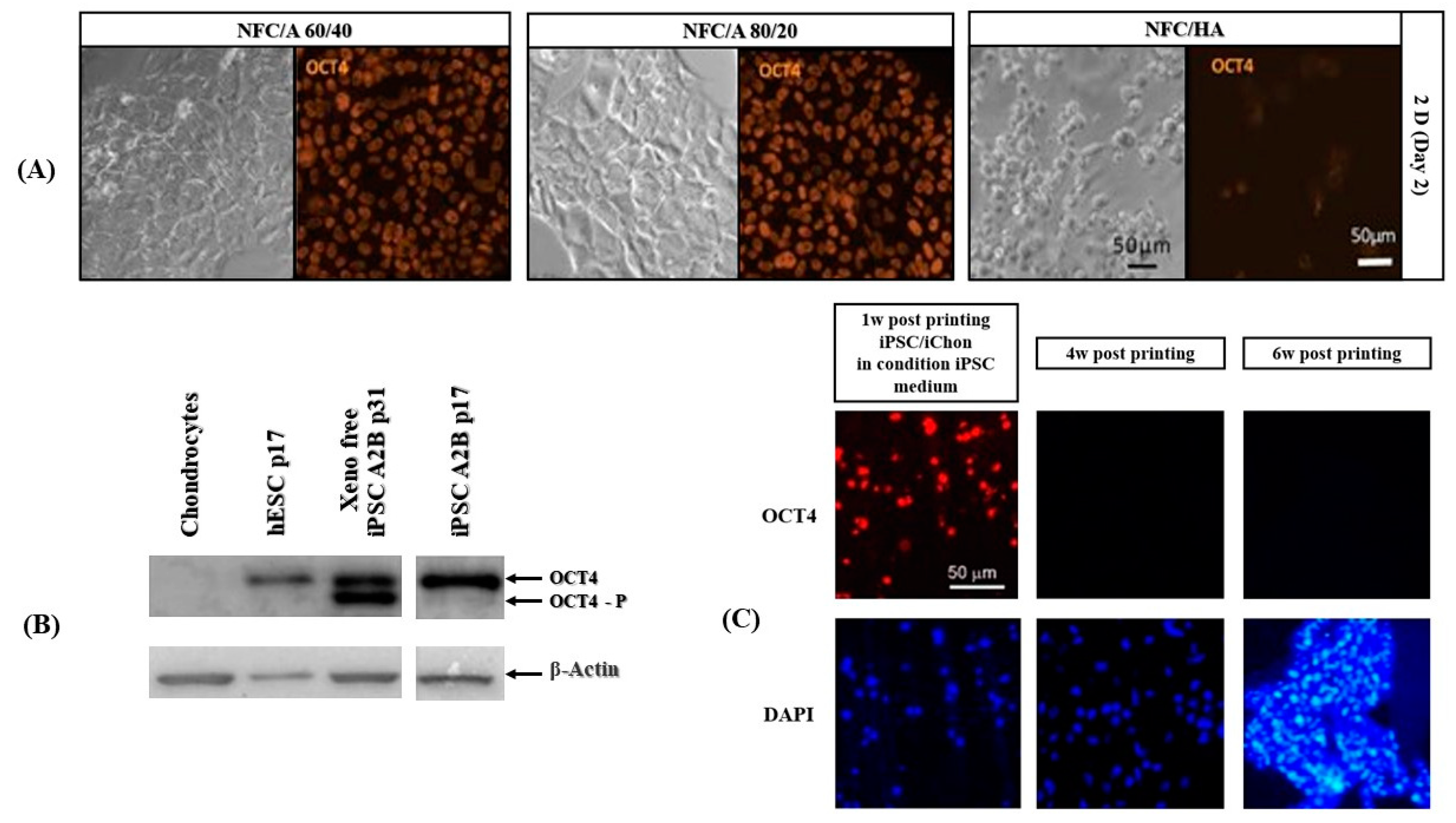 Micromachines 13 00155 g009
