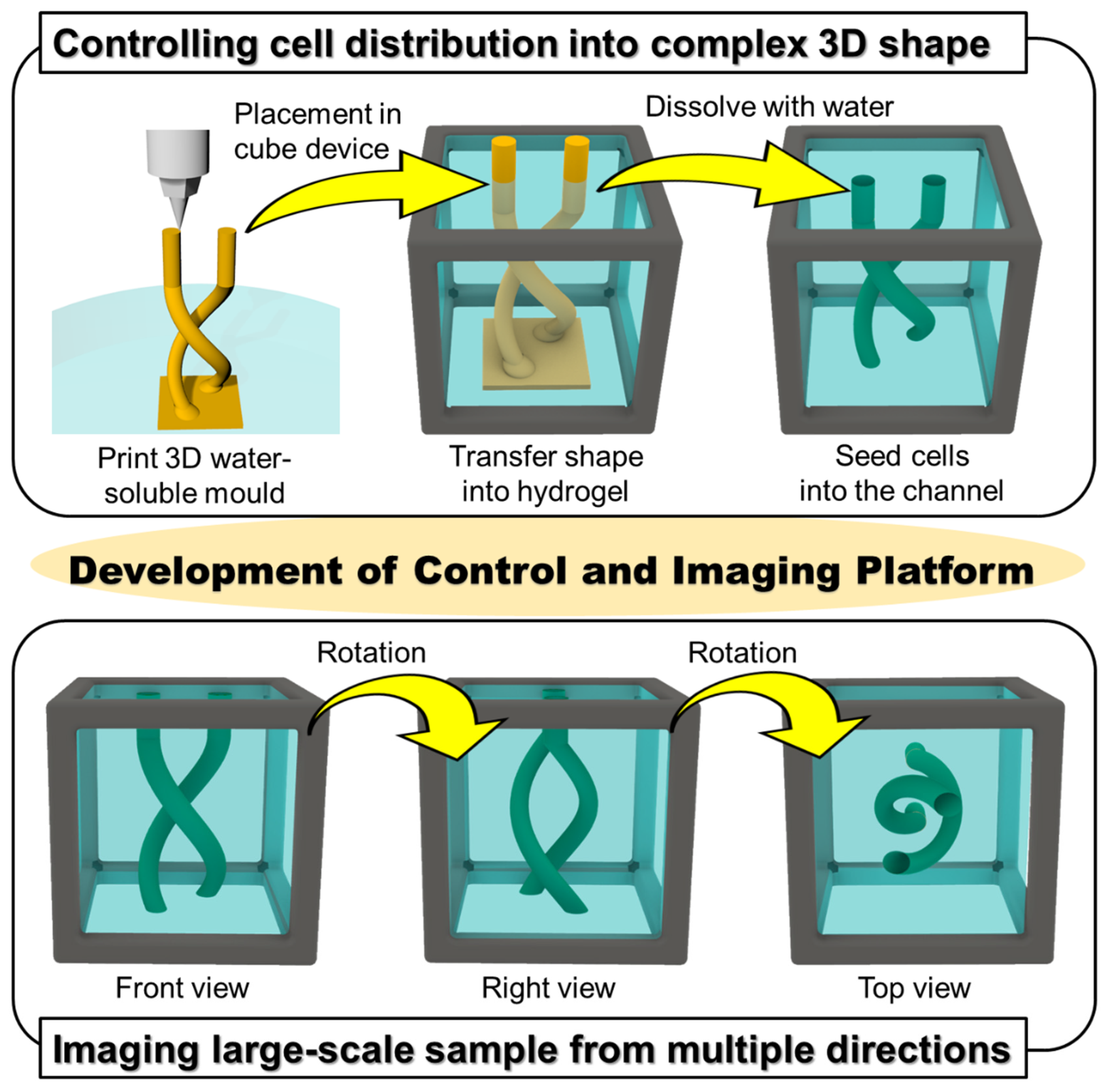 Micromachines 13 00156 g001 550