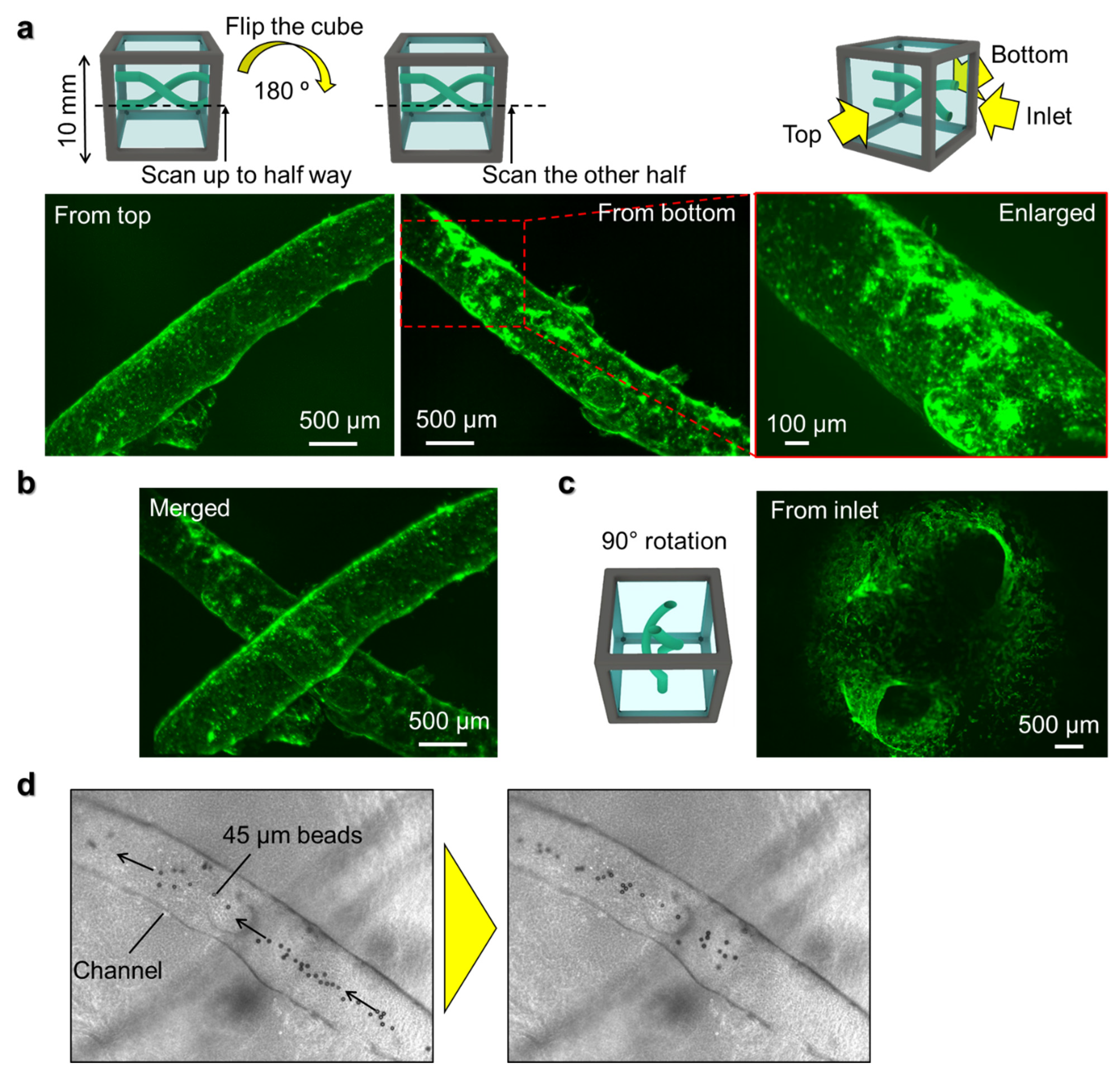 Micromachines 13 00156 g005 550