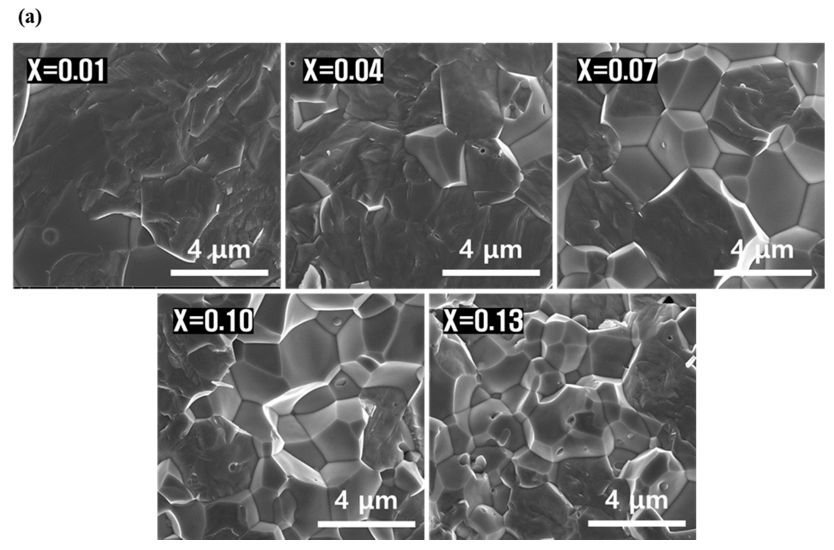 Micromachines 13 00158 g002a Micromachines 13 00158 g002a