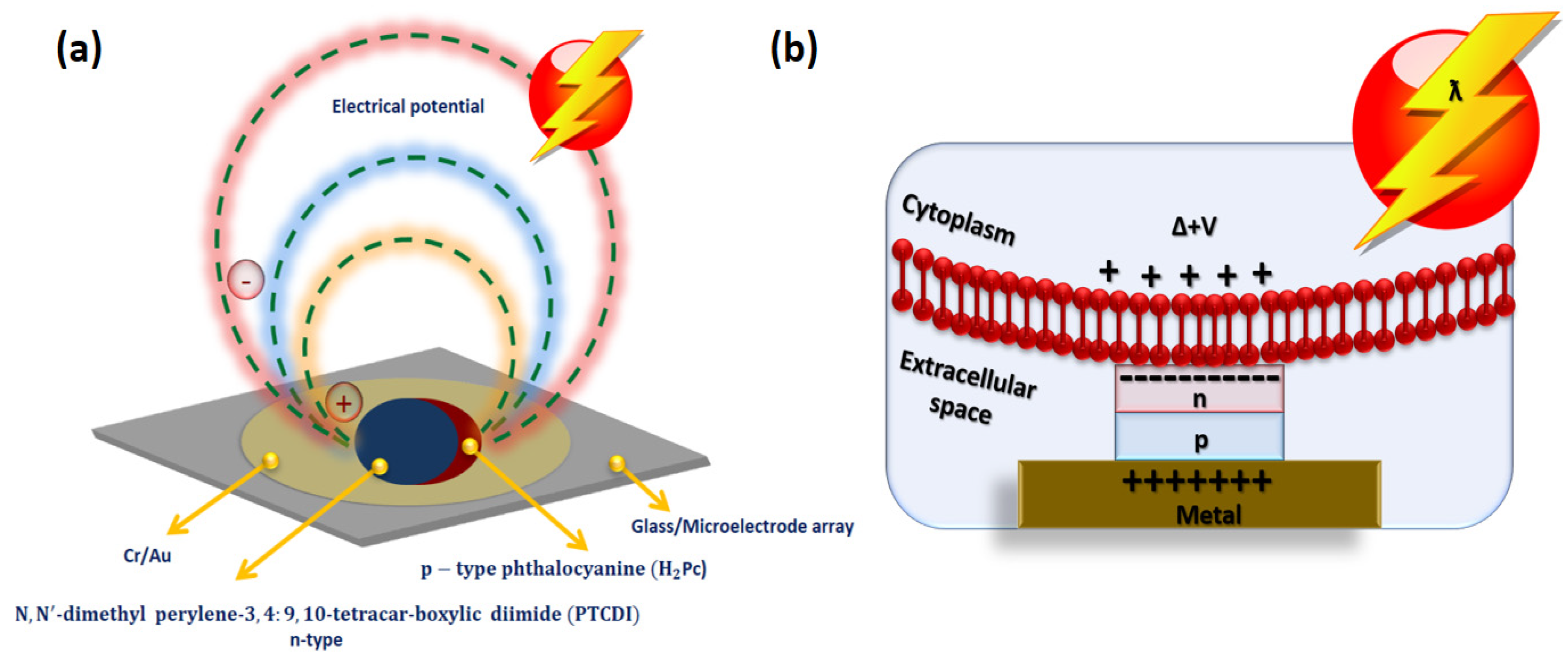 Micromachines 13 00161 g003 Micromachines 13 00161 g003