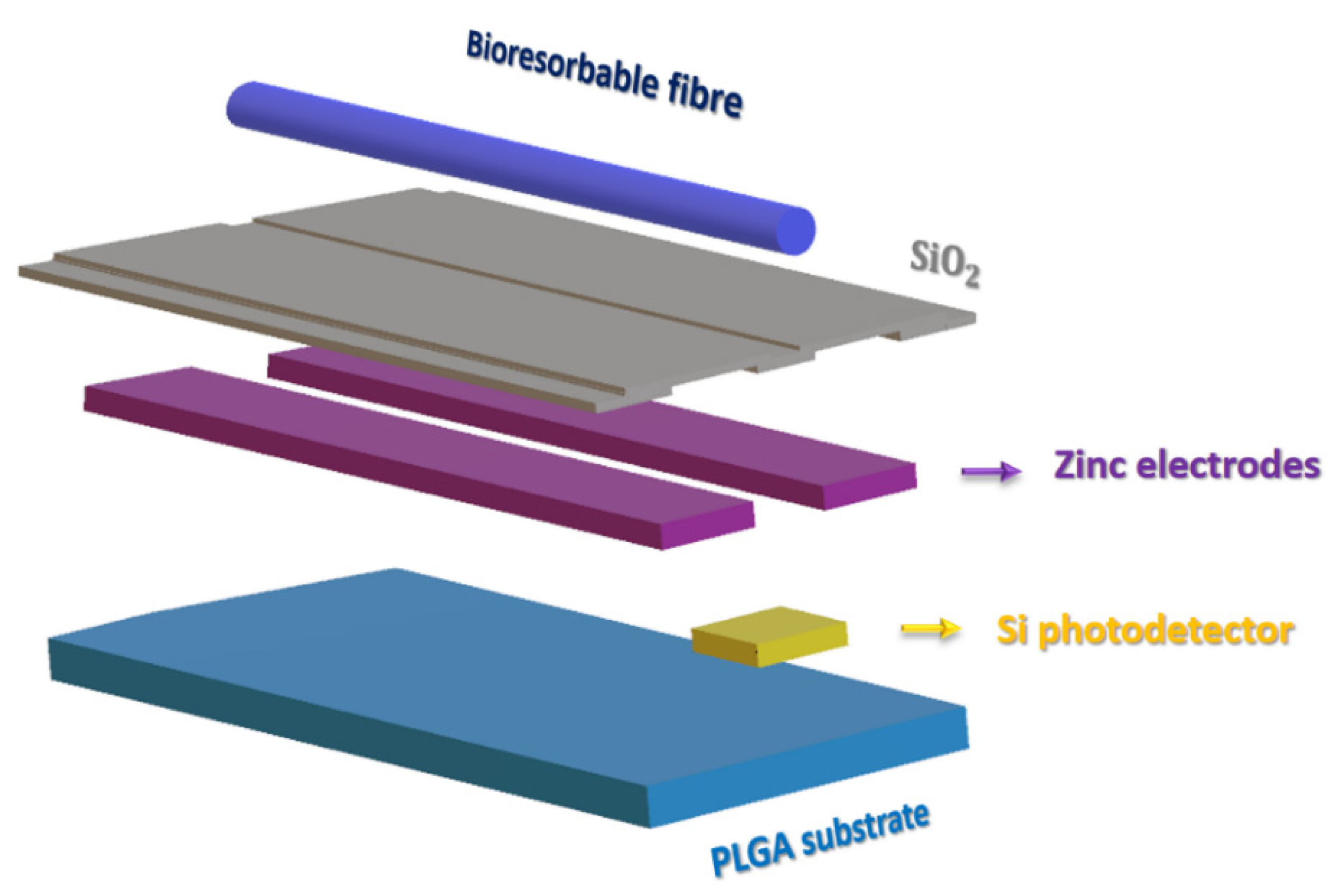 Micromachines 13 00161 g004 Micromachines 13 00161 g004