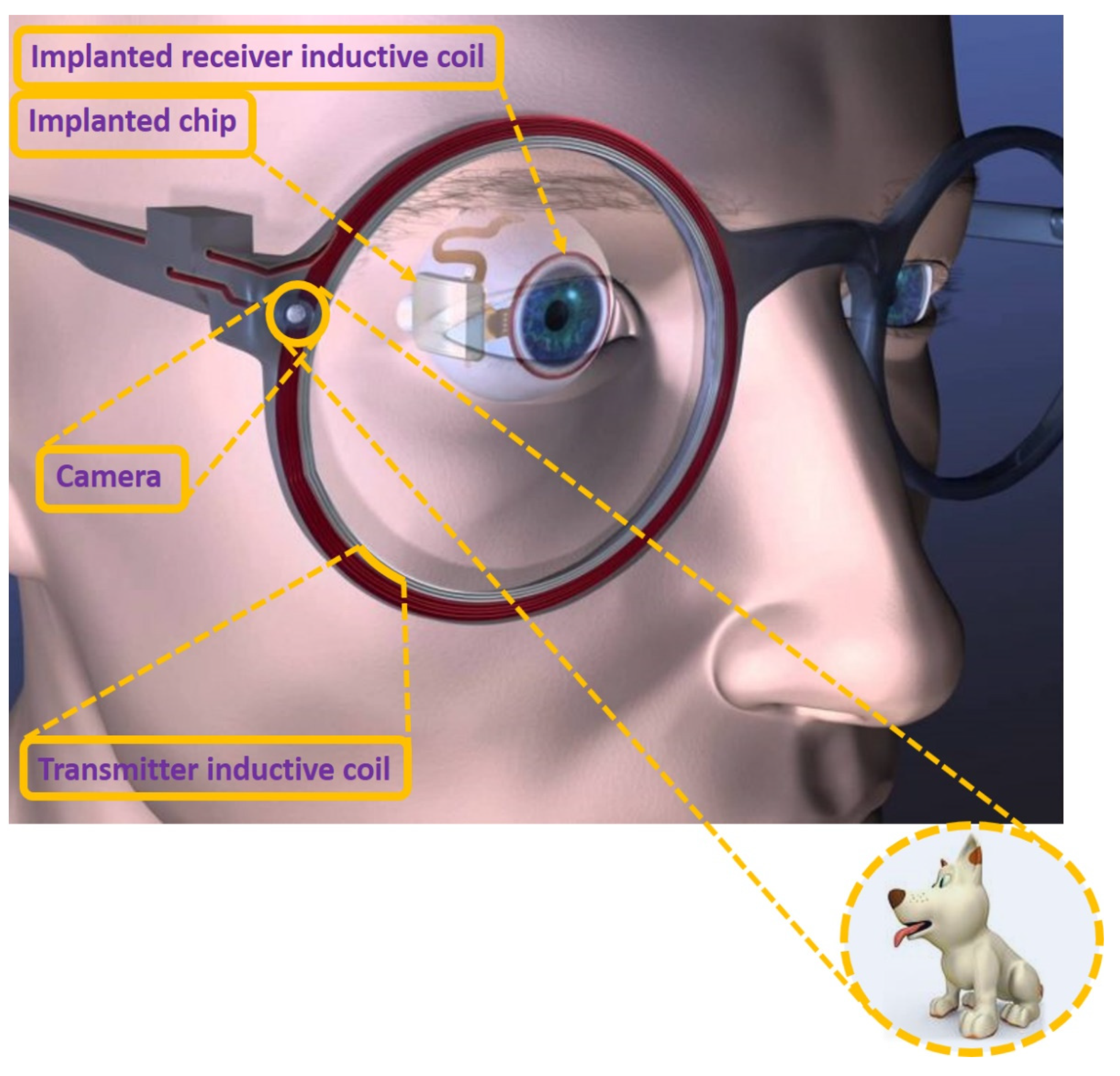 Micromachines 13 00161 g005