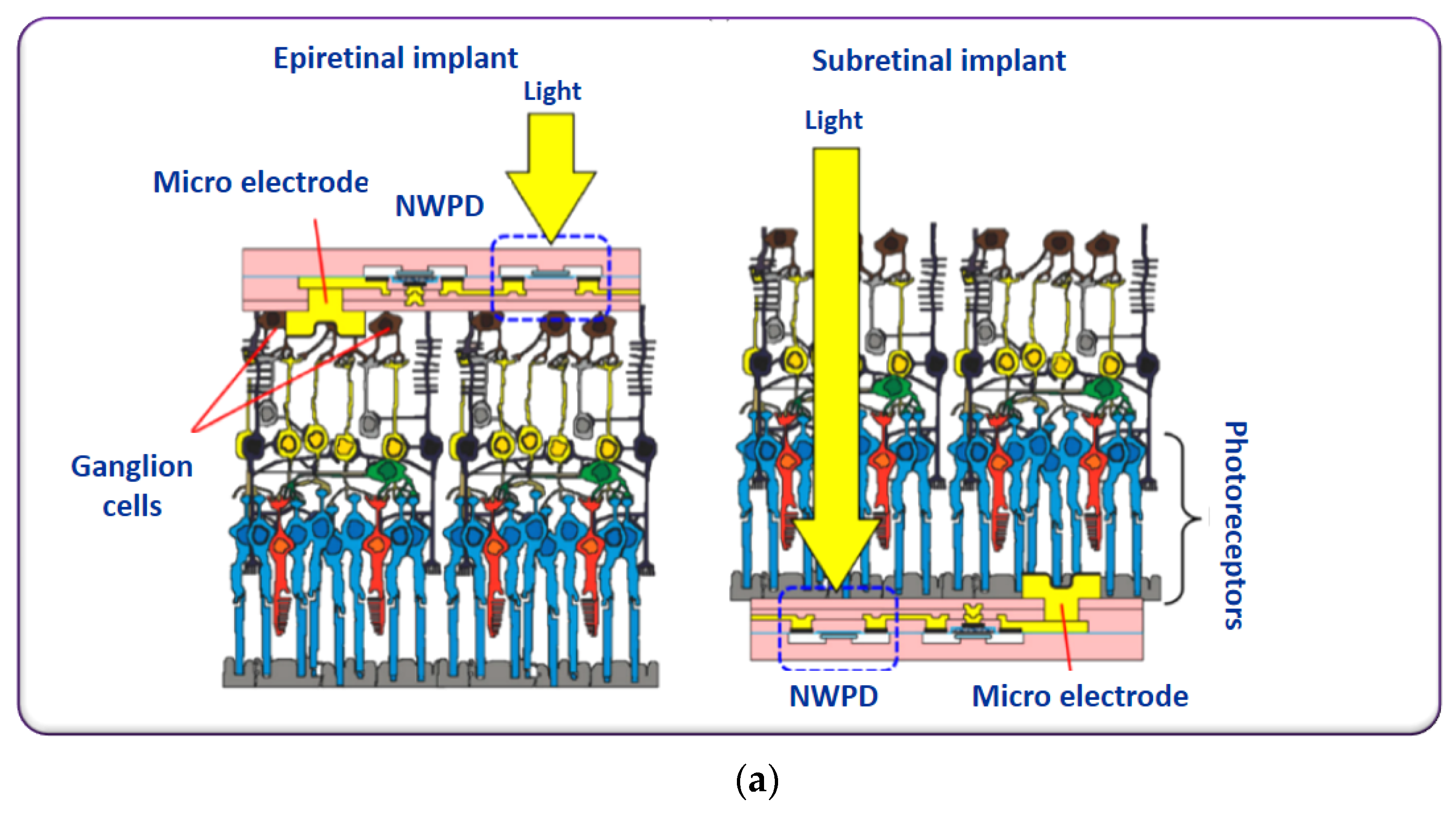Micromachines 13 00161 g006a Micromachines 13 00161 g006a