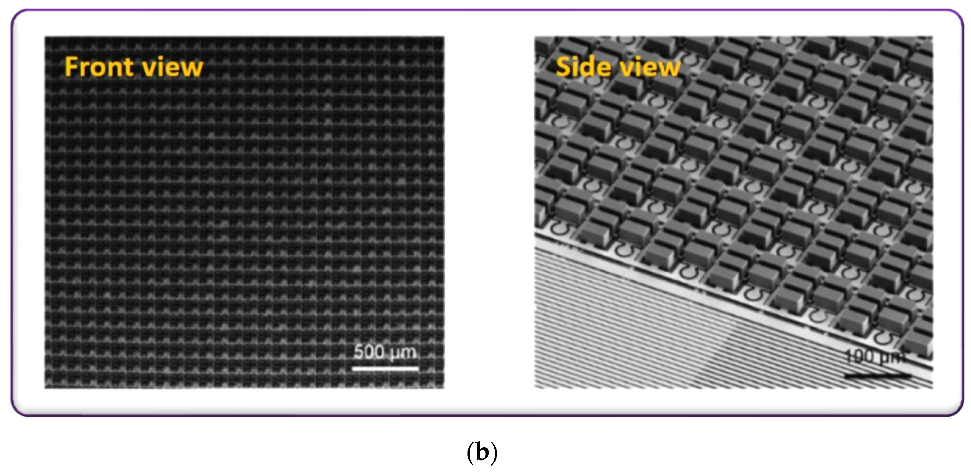 Micromachines 13 00161 g006b Micromachines 13 00161 g006b