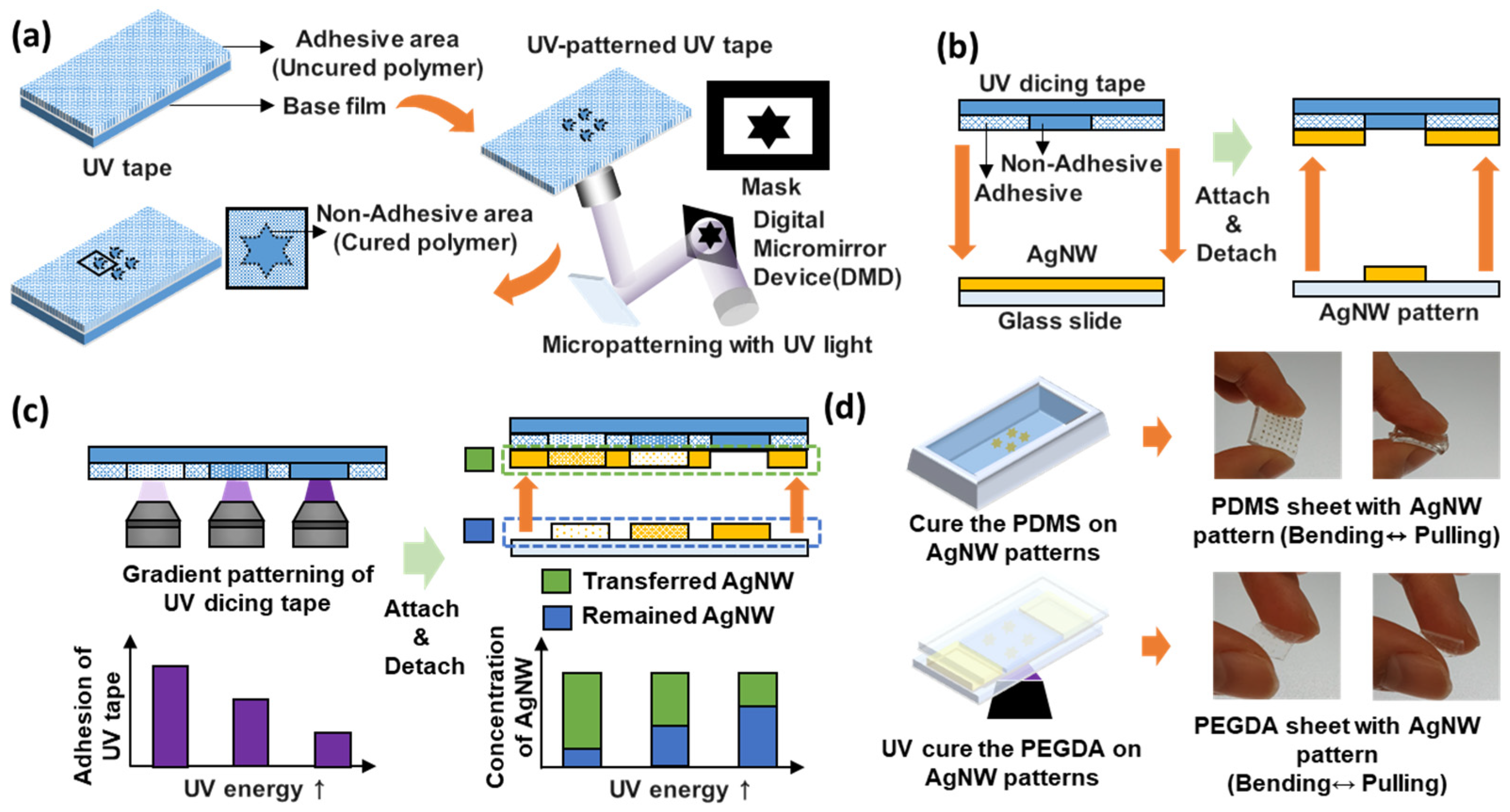 Micromachines 13 00168 g001 550