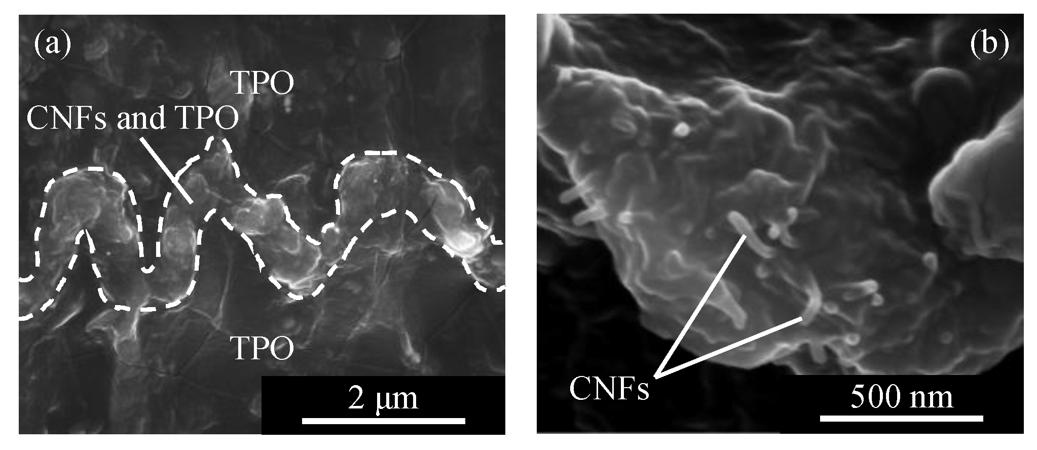 Micromachines 13 00170 g006 550