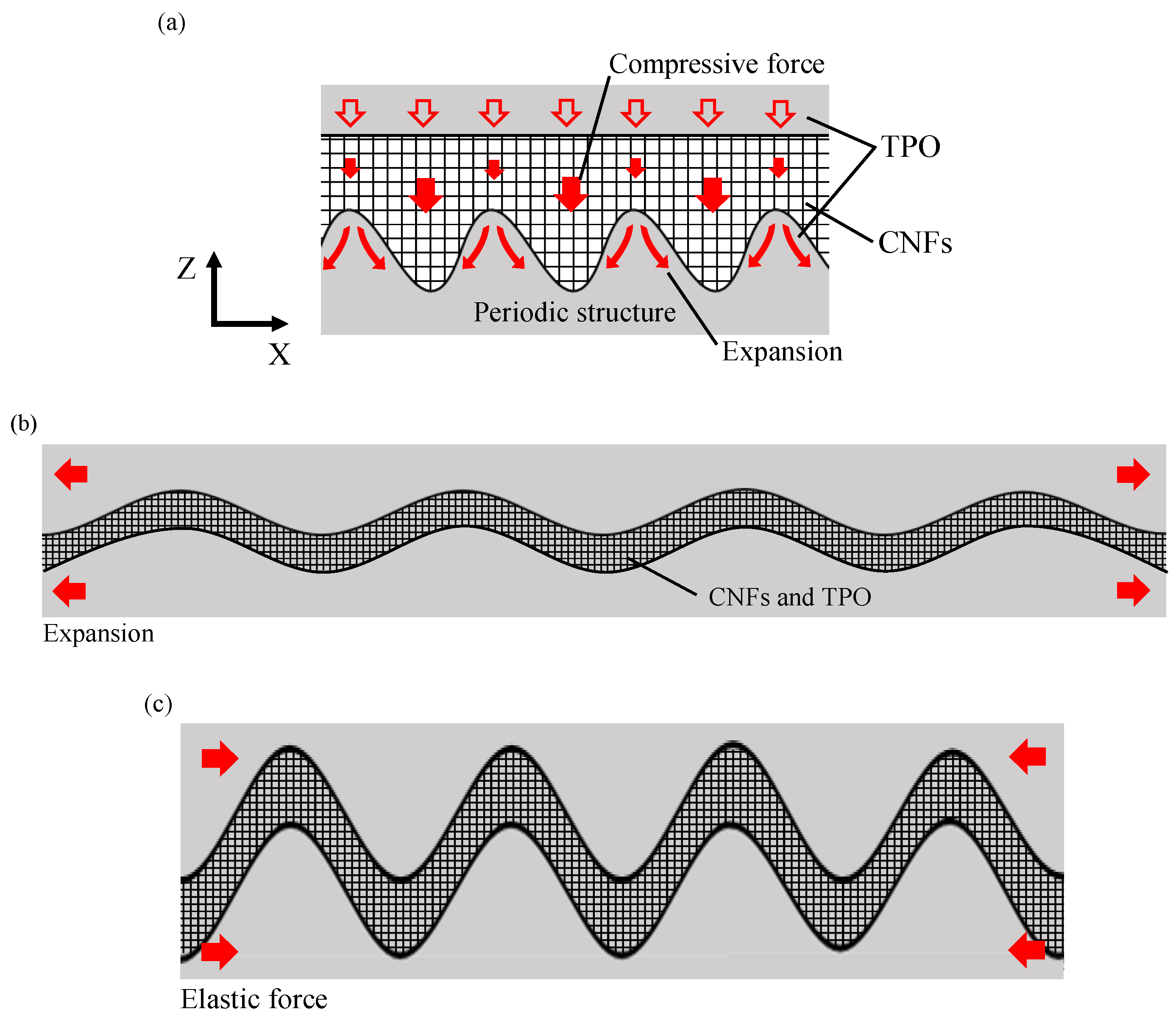 Micromachines 13 00170 g007 550