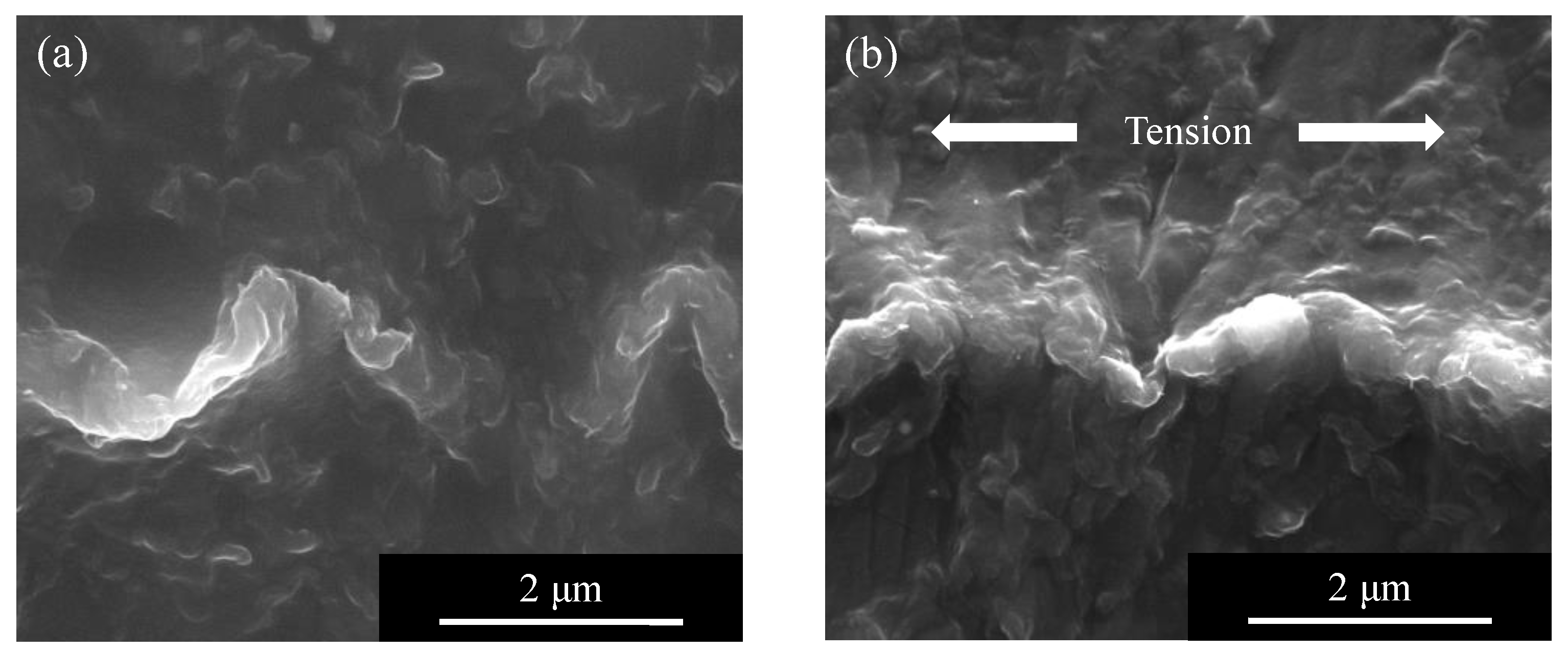 Micromachines 13 00170 g008 550