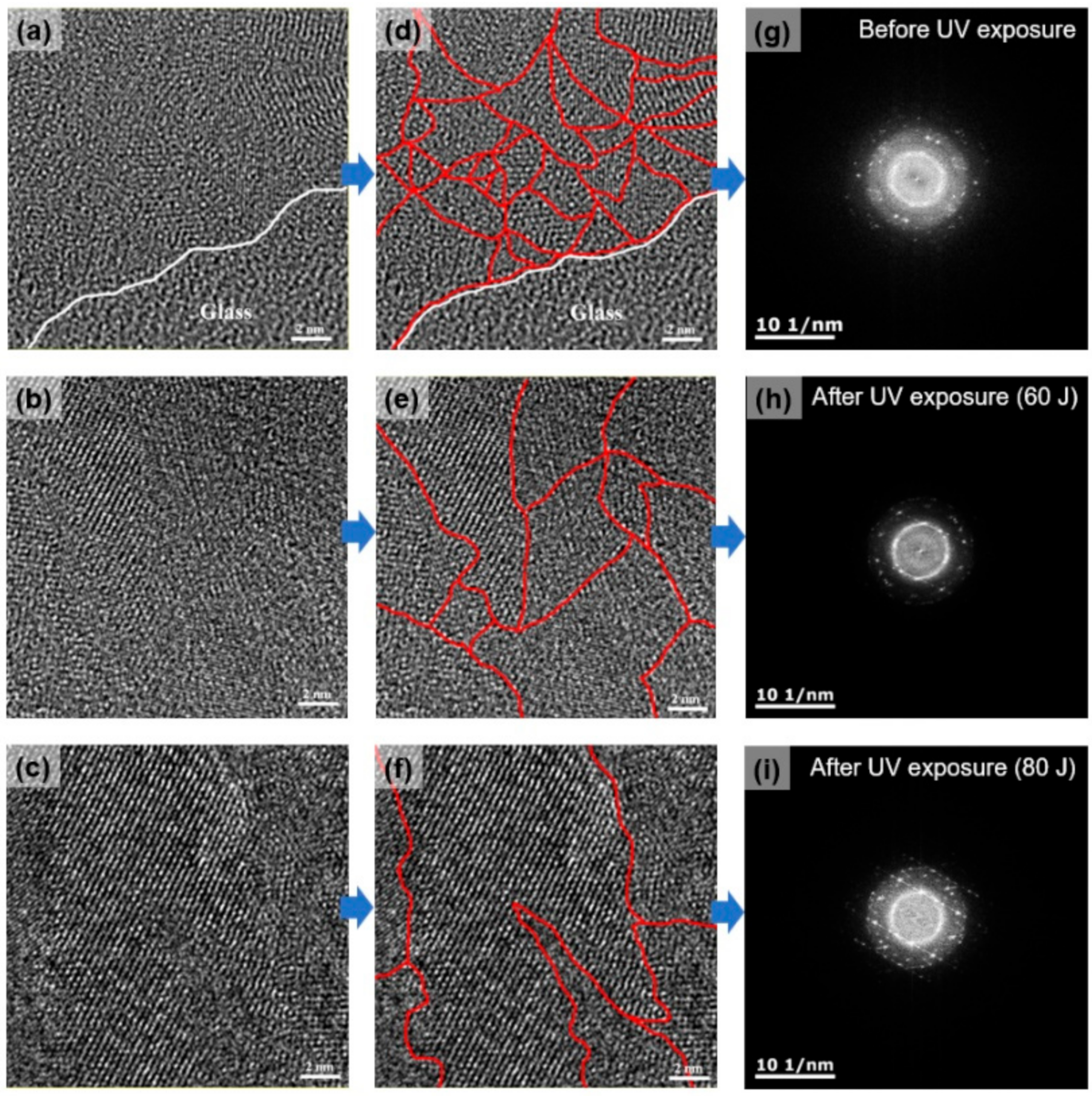 Micromachines 13 00173 g005