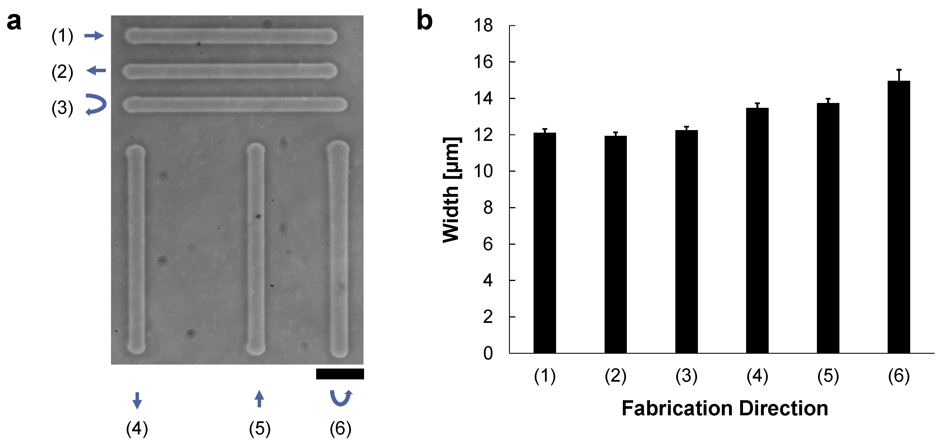 Micromachines 13 00174 g002 550