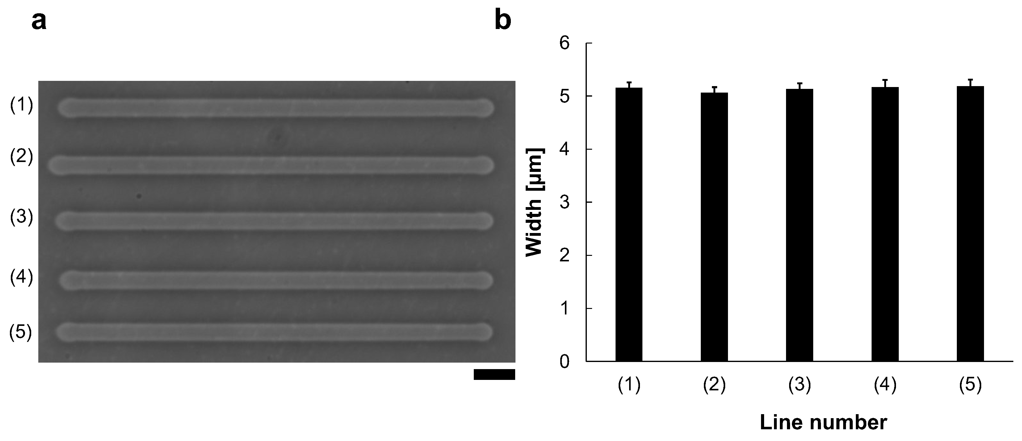 Micromachines 13 00174 g003 550