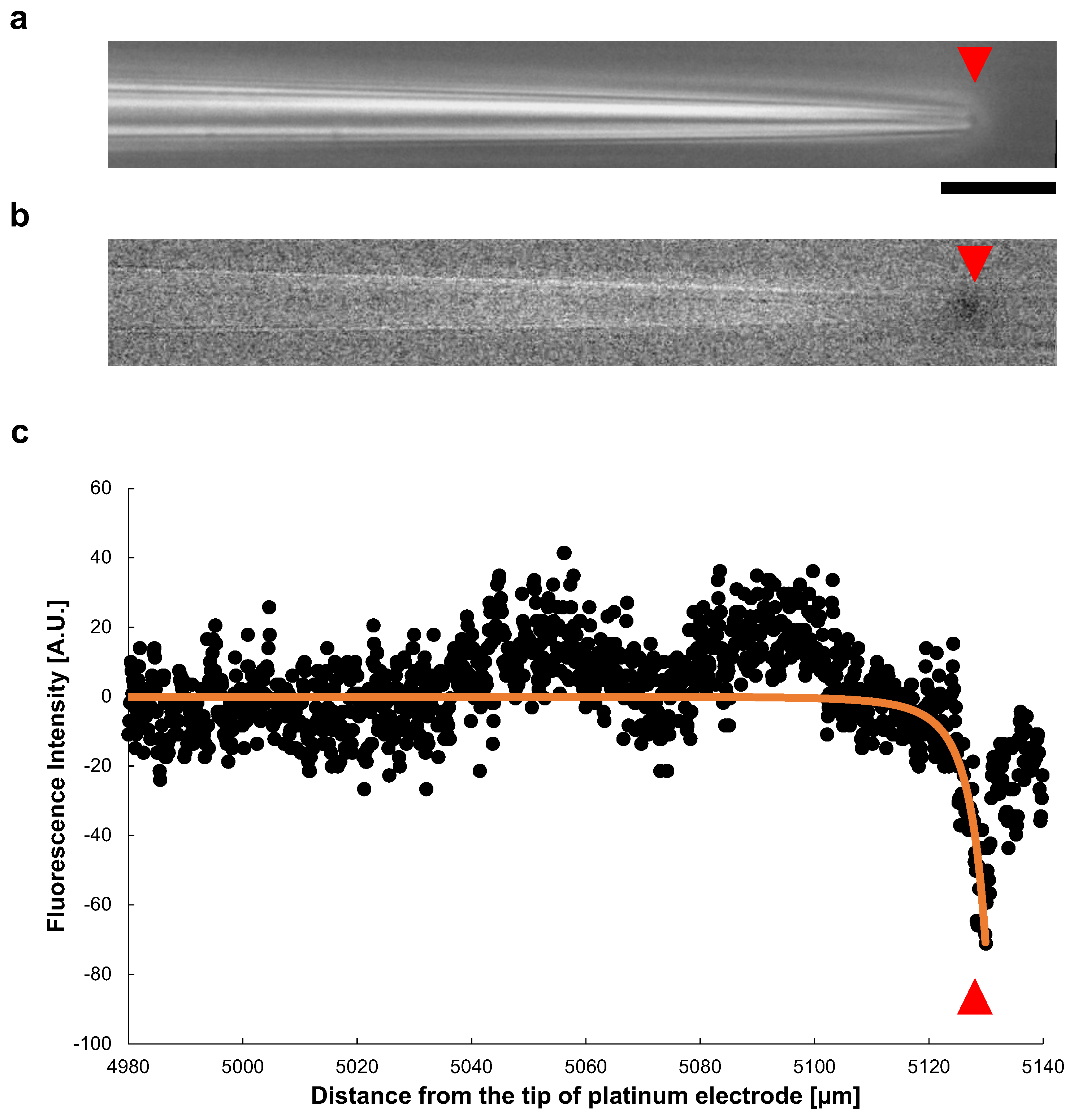 Micromachines 13 00174 g009 550