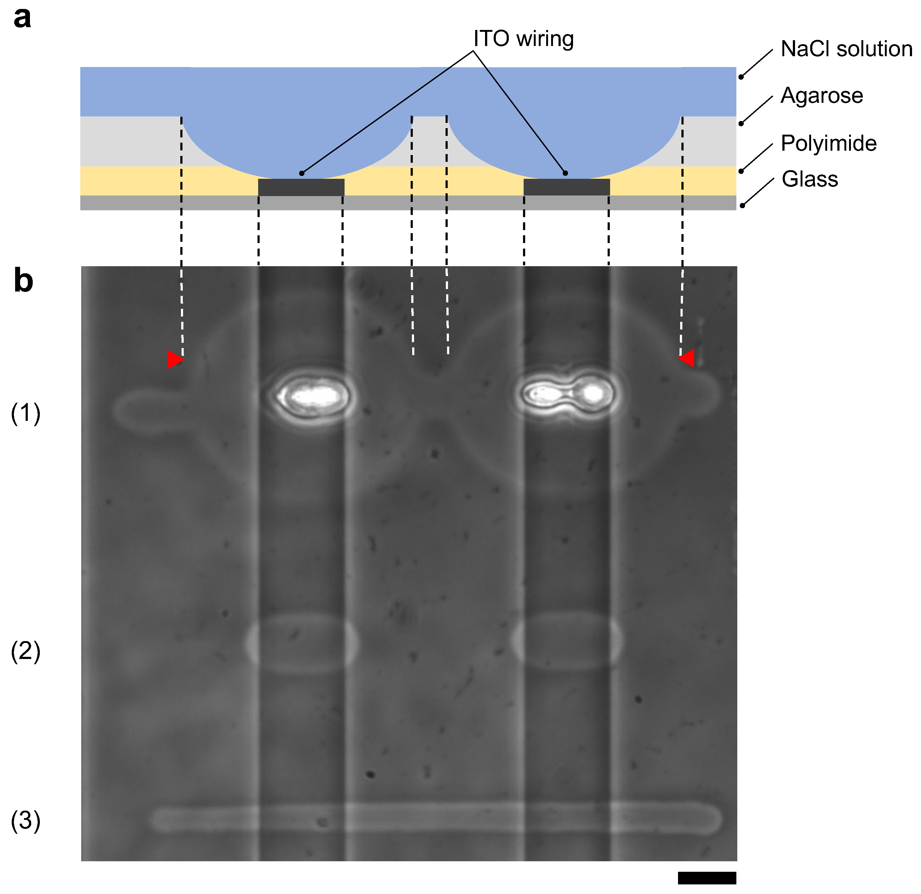Micromachines 13 00174 g010 550