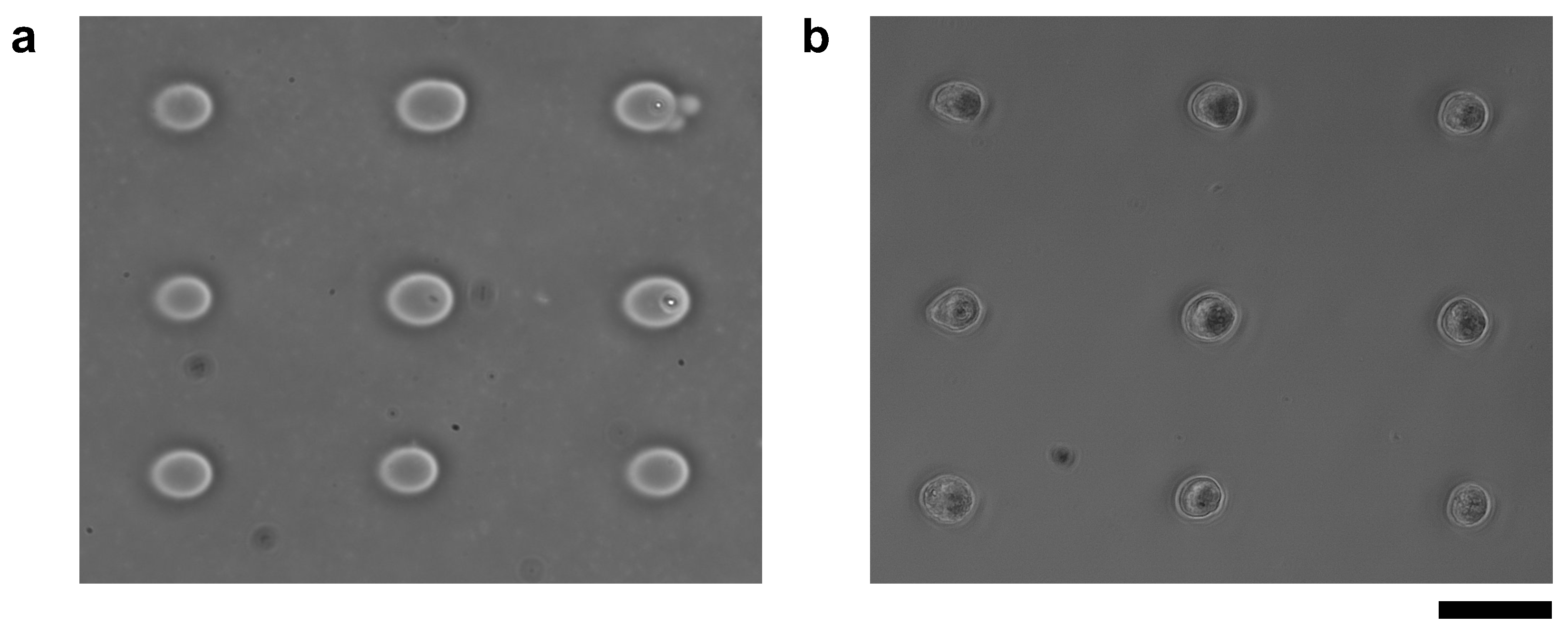 Micromachines 13 00174 g011 550