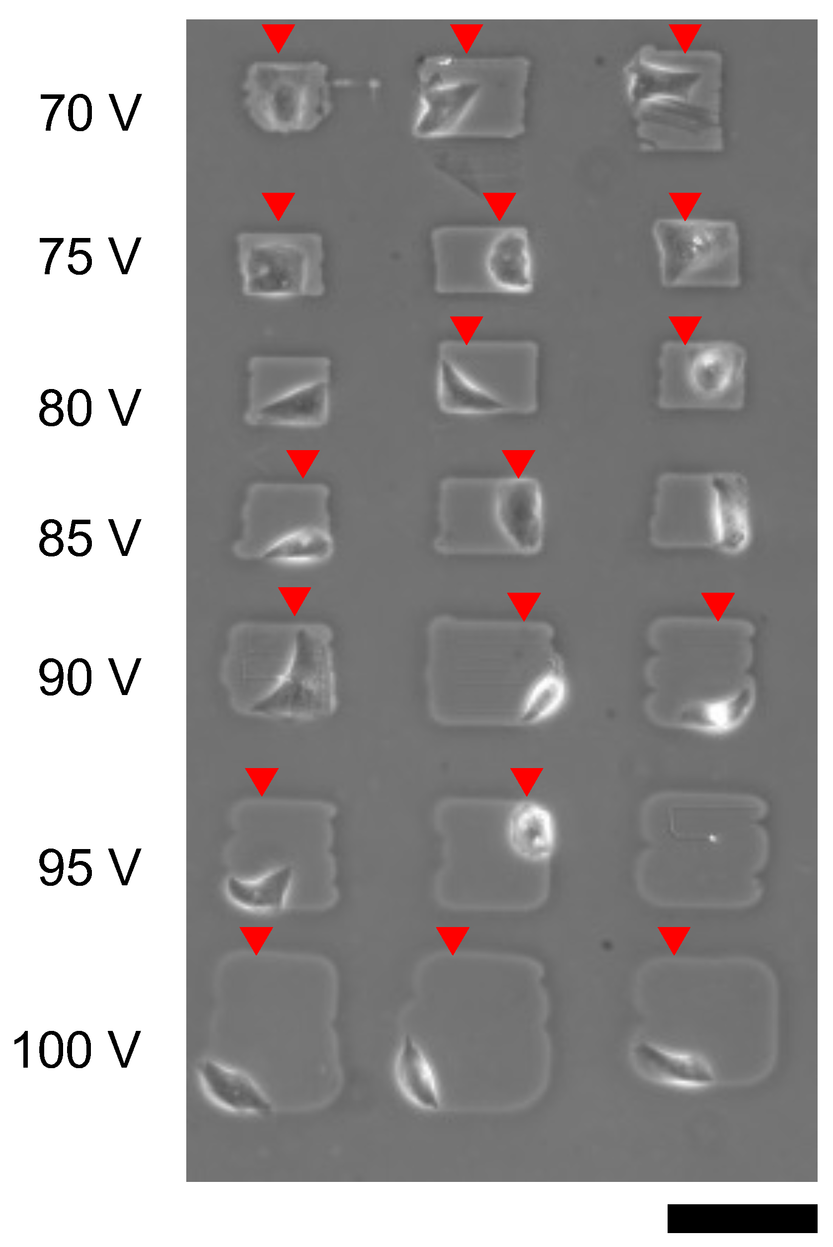Micromachines 13 00174 g012 550