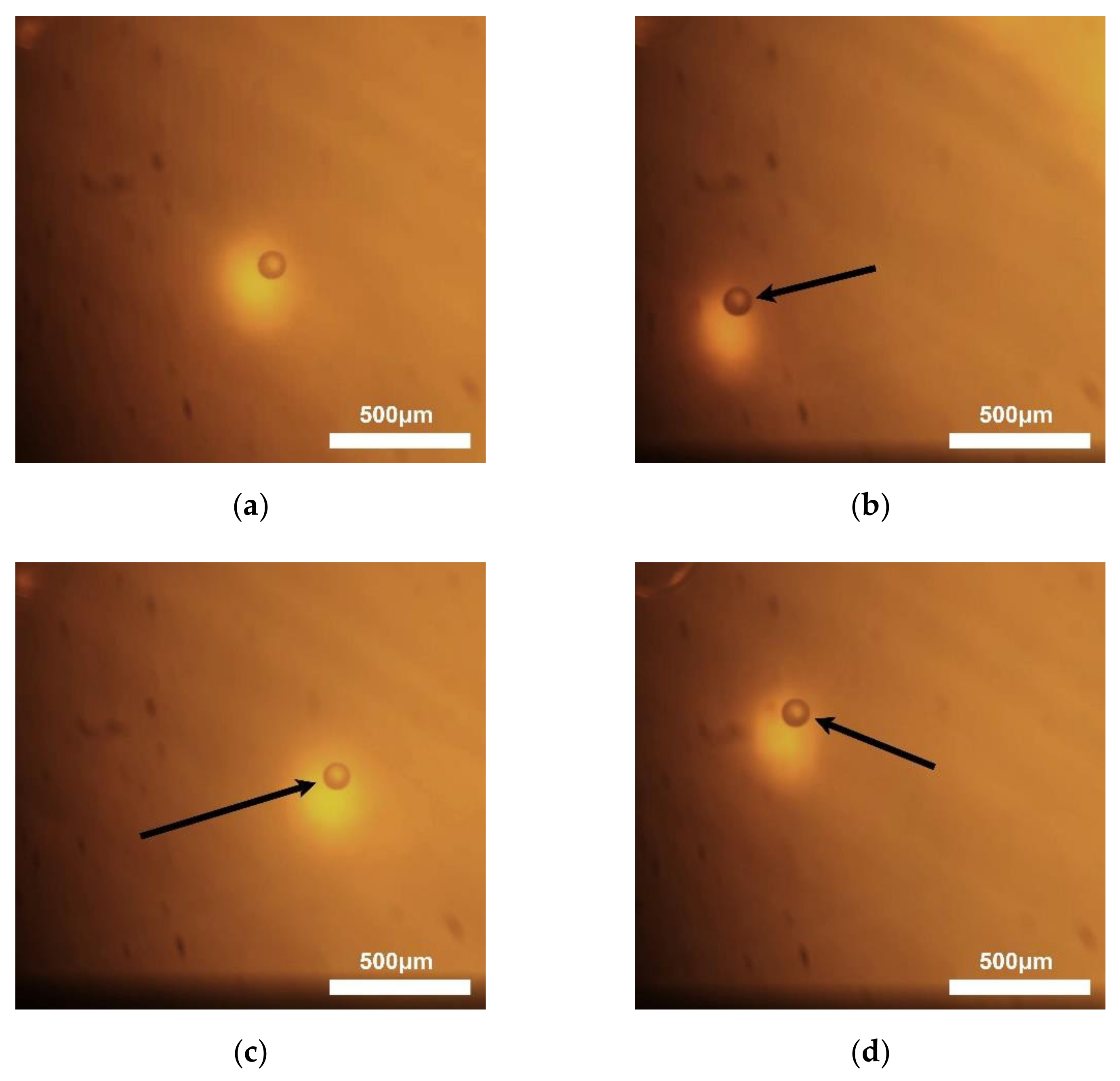 Micromachines 13 00175 g009 550