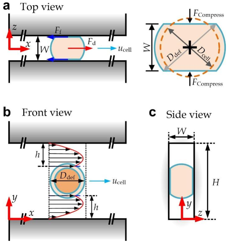 Micromachines 13 00183 g002