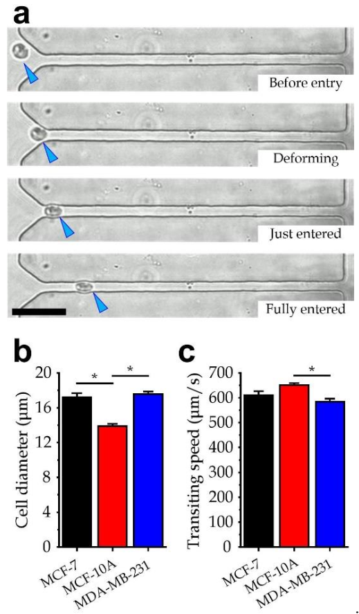 Micromachines 13 00183 g005
