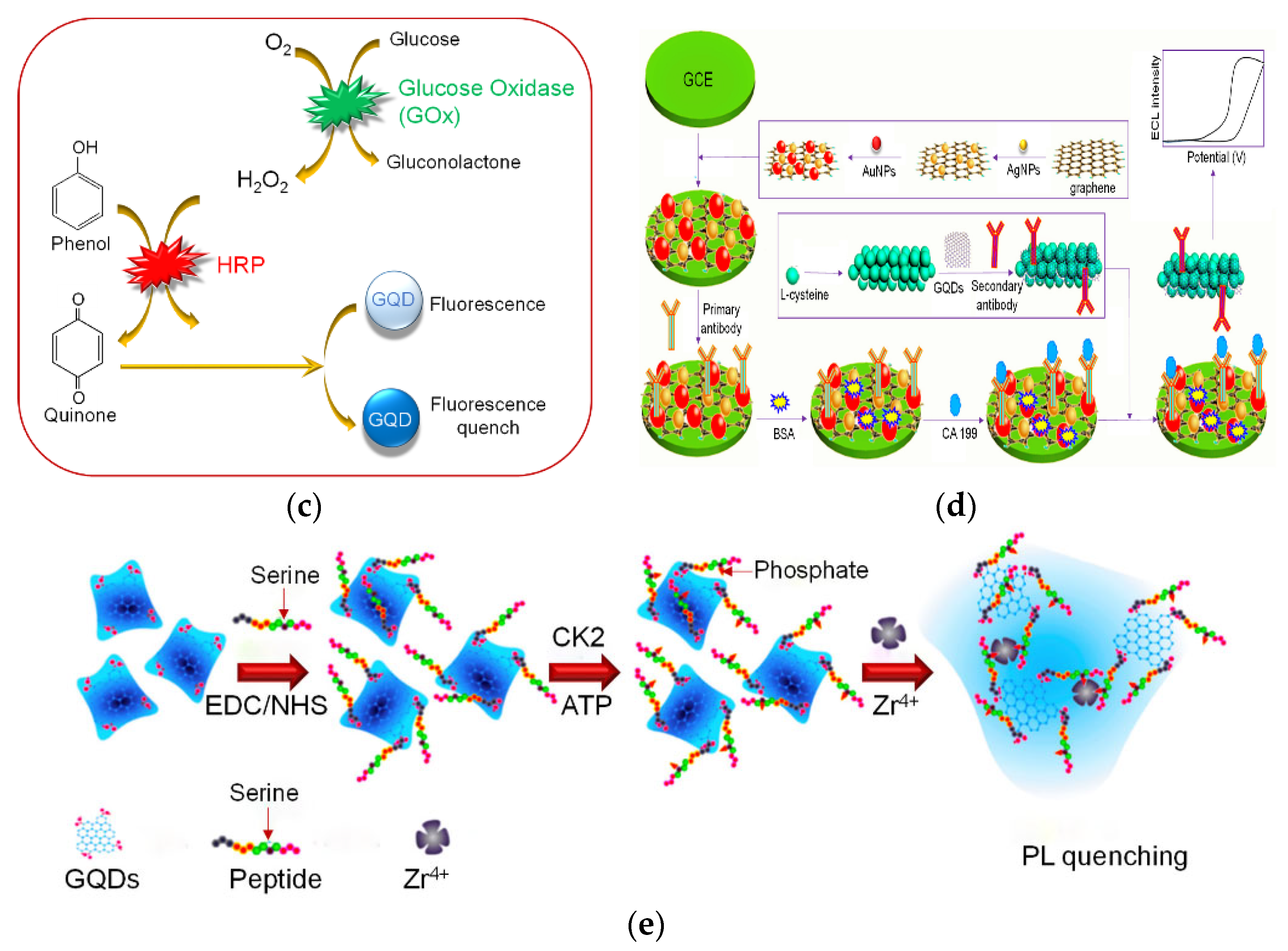 Micromachines 13 00184 g001b 550