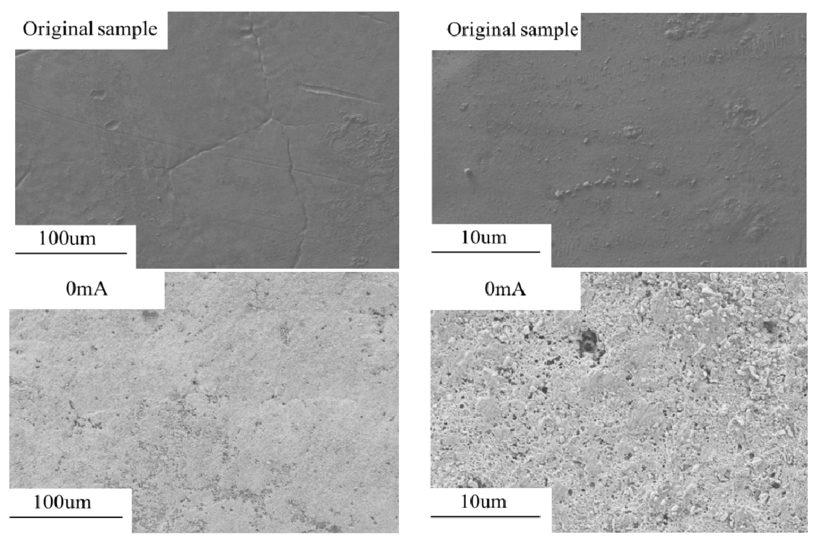 Micromachines 13 00190 g002a 550
