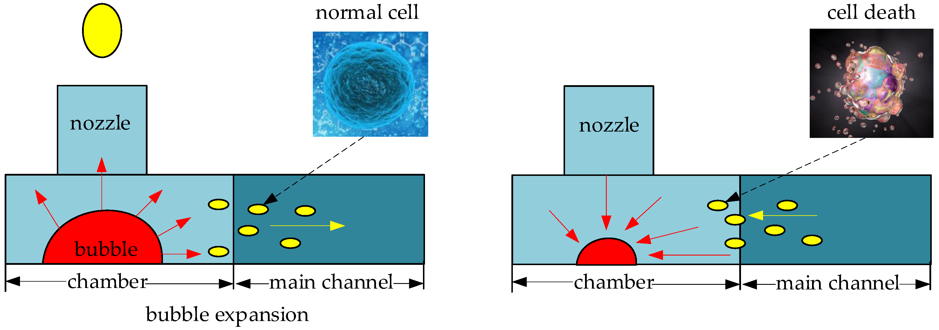 Micromachines 13 00194 g001 550