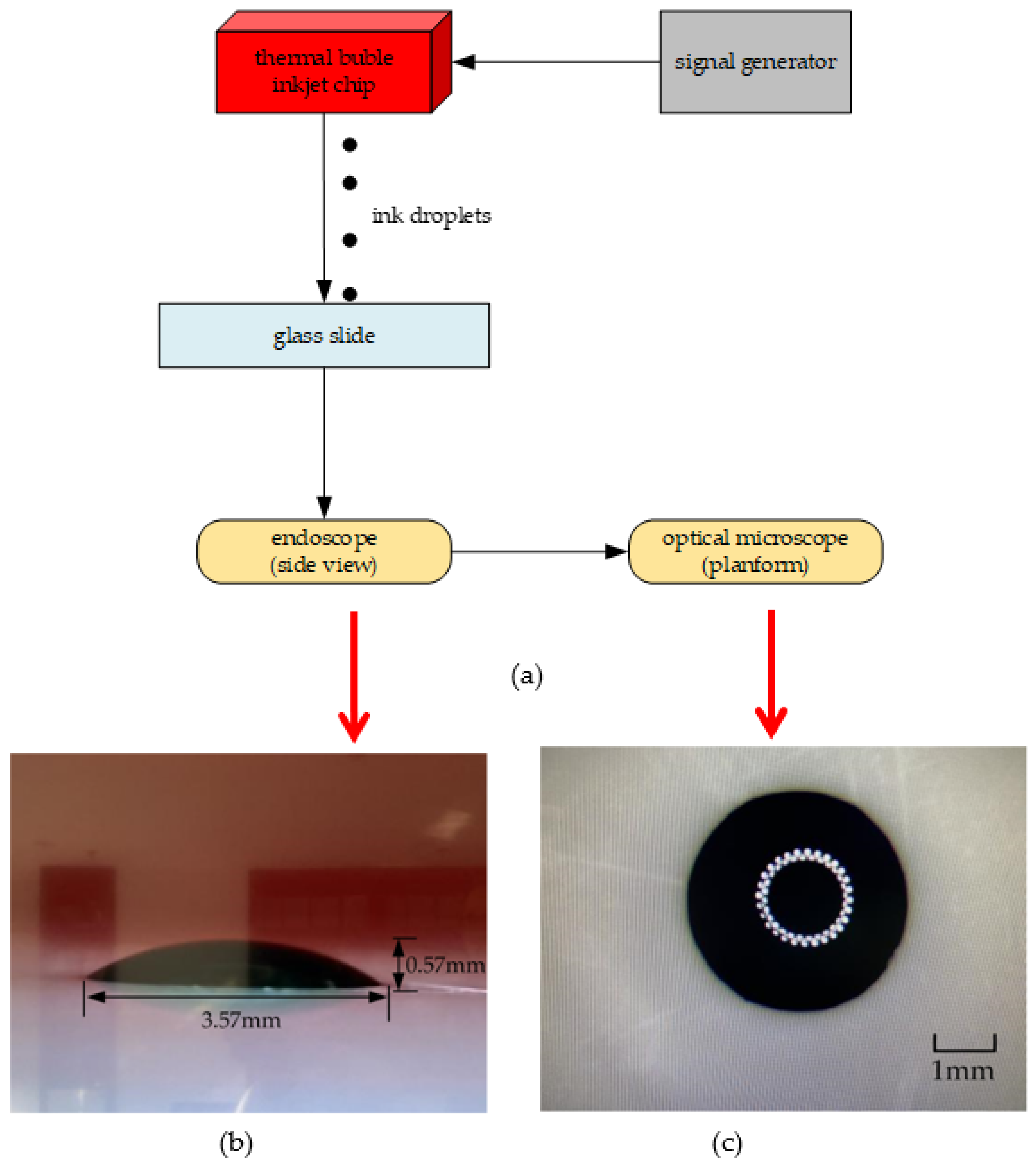 Micromachines 13 00194 g015 550