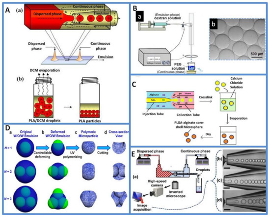 Micromachines Free Full Text Microfluidic Applications In Drug Development Fabrication Of Drug Carriers And Drug Toxicity Screening Html