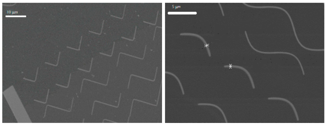 Micromachines 13 00204 g003 550