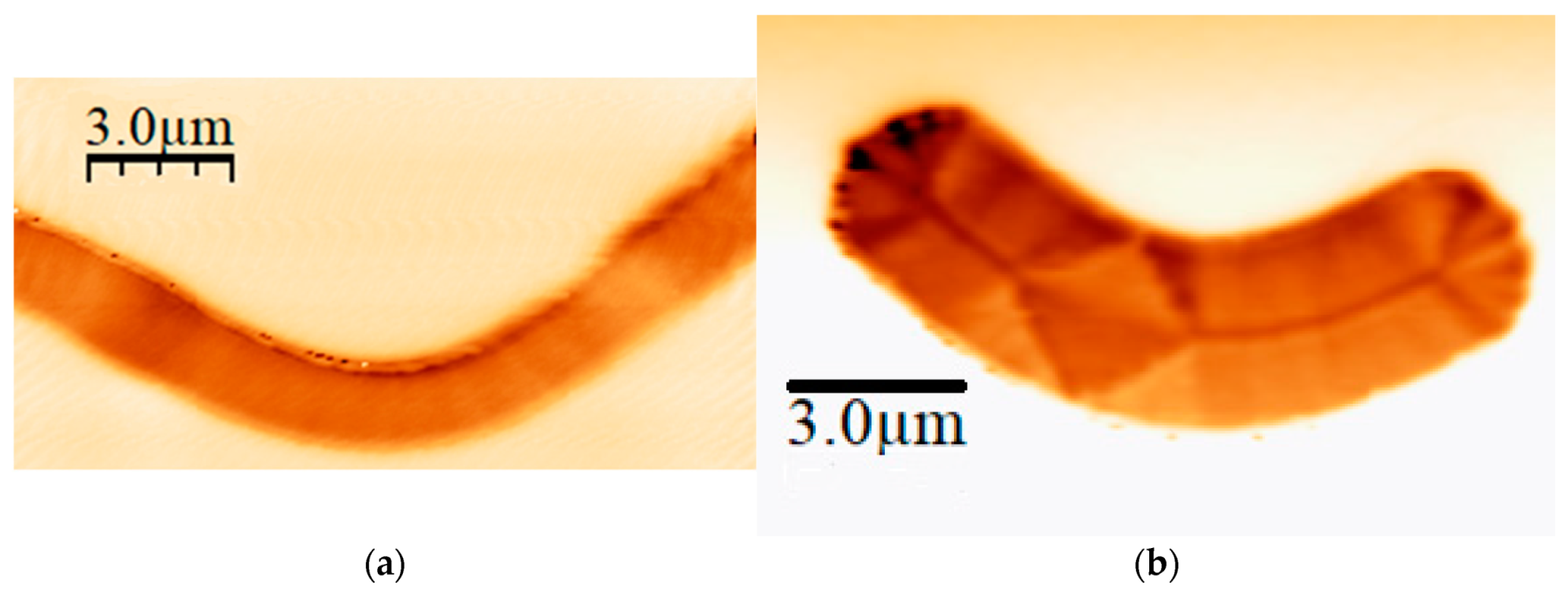Micromachines 13 00204 g004 550