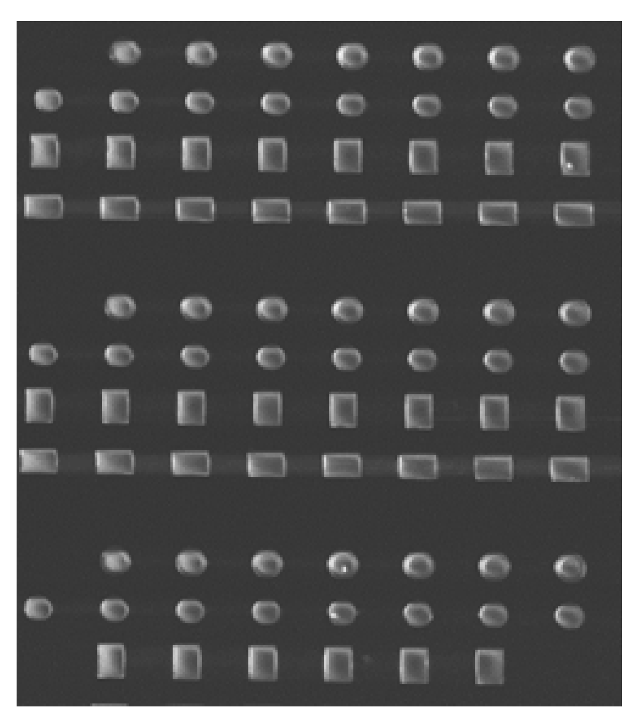 Micromachines 13 00204 g007 550