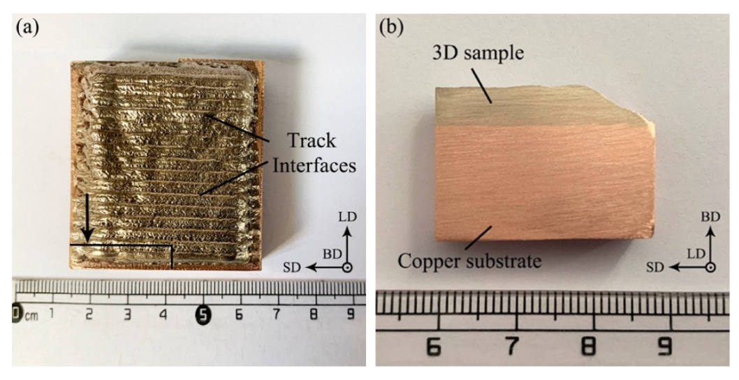 Micromachines 13 00212 g003 550
