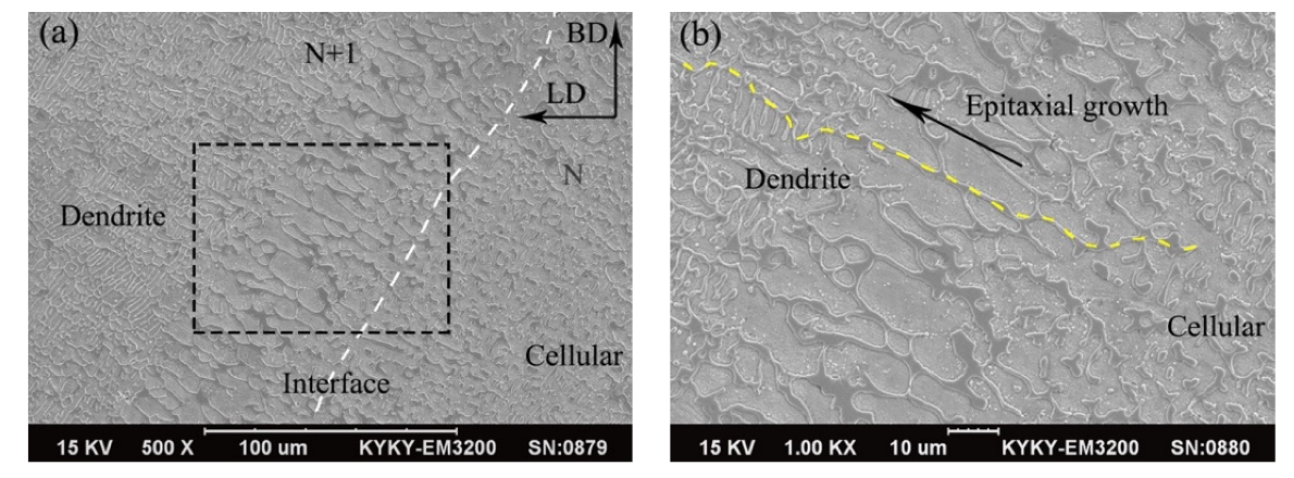 Micromachines 13 00212 g006 550