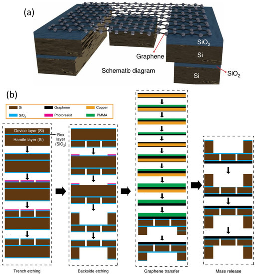 Micromachines Free FullText A Review on GrapheneBased Nano