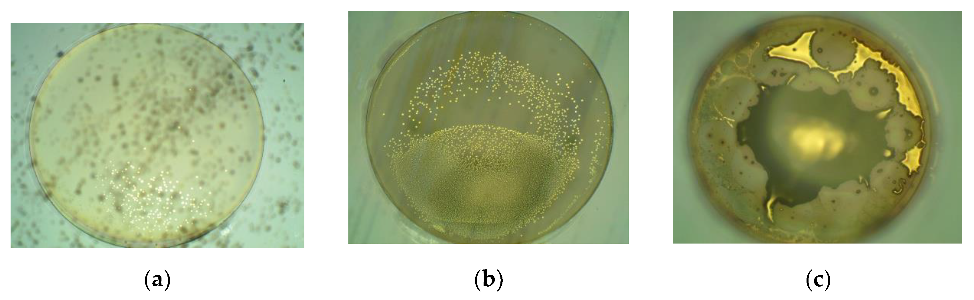 Micromachines 13 00217 g008 550
